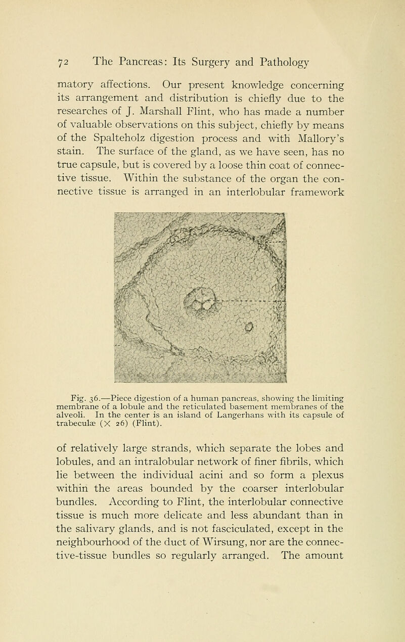 matory affections. Our present knowledge concerning its arrangement and distribution is chiefly due to the researches of J. Marshall Flint, who has made a number of valuable observations on this subject, chiefly by means of the Spalteholz digestion process and with Mallory's stain. The surface of the gland, as we have seen, has no true capsule, but is covered by a loose thin coat of connec- tive tissue. Within the substance of the organ the con- nective tissue is arranged in an interlobular framework Fig. 36.—Piece digestion of a human pancreas, showing the Hmiting membrane of a lobule and the reticulated basement membranes of the alveoli. In the center is an island of Langerhans with its capsule of trabecula; (X 26) (Flint). of relatively large strands, which separate the lobes and lobules, and an intralobular network of finer fibrils, which lie between the individual acini and so form a plexus within the areas bounded by the coarser interlobular bundles. According to Flint, the interlobular connective tissue is much more delicate and less abundant than in the salivary glands, and is not fasciculated, except in the neighbourhood of the duct of Wirsung, nor are the connec- tive-tissue bundles so regularly arranged. The amount