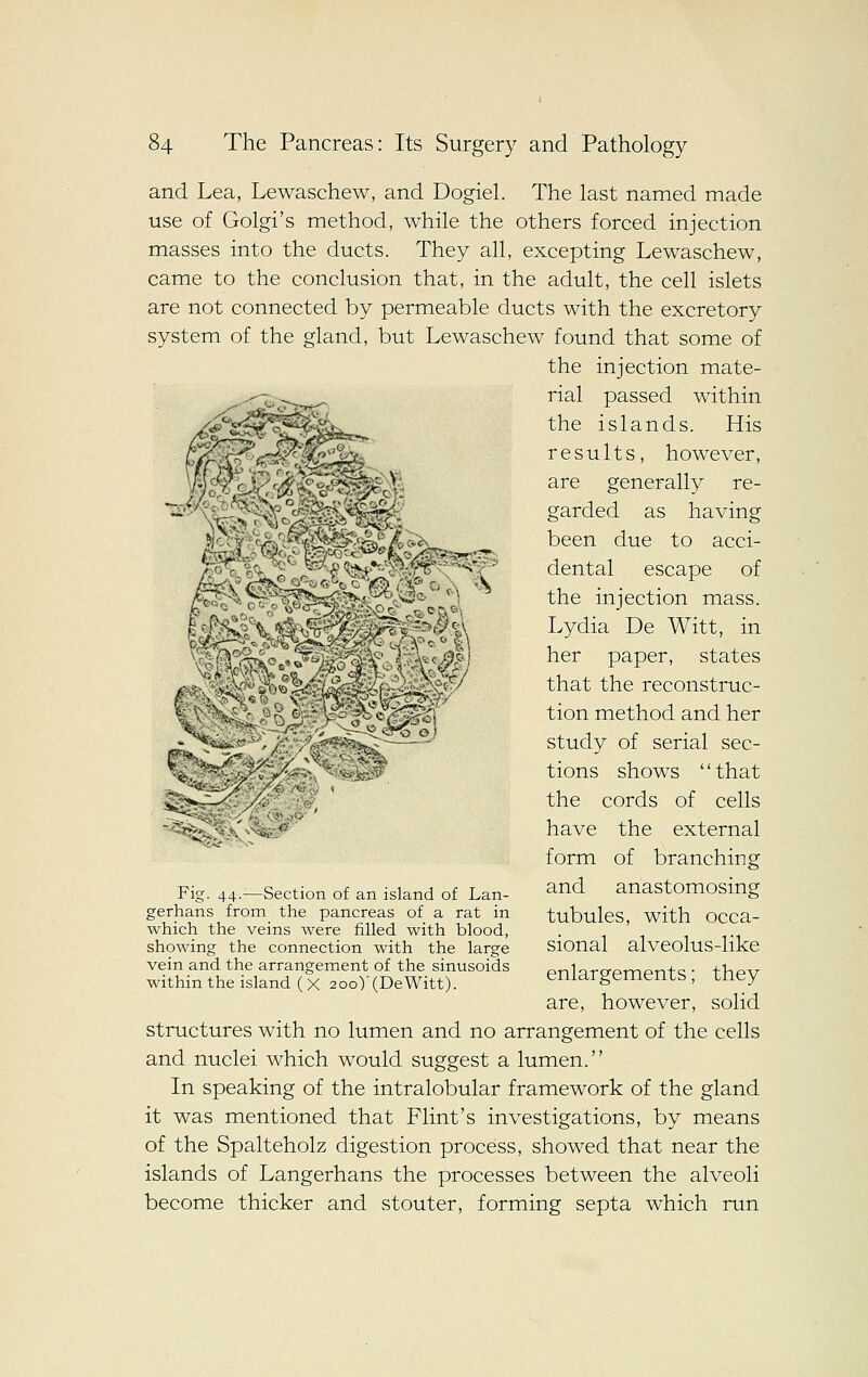 f( f. \ ^^^^5^4^,/^ and Lea, Lewaschew, and Dogiel. The last named made use of Golgi's method, while the others forced injection masses into the ducts. They all, excepting Lewaschew, came to the conclusion that, in the adult, the cell islets are not connected by permeable ducts with the excretory system of the gland, but Lewaschew found that some of the injection mate- ^7,^ , rial passed within the islands. His results, however, are generally re- garded as having been due to acci- dental escape of the injection mass. Lydia De Witt, in her paper, states that the reconstruc- tion method and her study of serial sec- tions shows that the cords of cells have the external form of branching and anastomosing tubules, with occa- sional alveolus-like enlargements; they are, however, solid structures with no lumen and no arrangement of the cells and nuclei which would suggest a lumen. In speaking of the intralobular framework of the gland it was mentioned that Flint's investigations, by means of the Spalteholz digestion process, showed that near the islands of Langerhans the processes between the alveoli become thicker and stouter, forming septa which run c ^^, Fig. 44.-—Section of an island of Lan- gerhans from the pancreas of a rat in which the veins were filled with blood, showing the connection with the large vein and the arrangement of the sinusoids within the island (X 200)'(DeWitt).