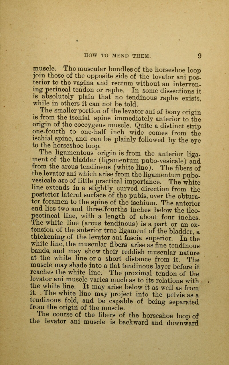 muscle. The muscular bundles of the horseshoe loop join those of the opposite side of the levator ani pos- terior to the vagina and rectum without an interven- ing perineal tendon or raphe. In some dissections it is absolutely plain that no tendinous raphe exists, while in others it can not be told. The smaller portion of the levator ani of bony origin is from the ischial spine immediately anterior to the origin of the coccygeus muscle. Quite a distinct strip one-fourth to one-half inch wide comes from the ischial spine, and can be plainly followed by the eye to the horseshoe loop. The ligamentous origin is from the anterior liga- ment of the bladder (ligamentum pubo-vesicale) and from the arcus tendineus (white line). The fibers of the levator ani which arise from the ligamentum pubo- vesicale are of little practical importance. The white line extends in a slightly curved direction from the posterior lateral surface of the pubis, over the obtura- tor foramen to the spine of the ischium. The anterior end lies two and three-fourths inches below the ileo- pectineal line, with a length of about four inches. The white line (arcus tendineus) is a part or an ex- tension of the anterior true ligament of the bladder, a thickening of the levator ani fascia superior. In the white line, the muscular fibers arise as fine tendinous bands, and may show their reddish muscular nature at the white line or a short distance from it. The muscle may shade into a flat tendinous layer before it reaches the white line. The proximal tendon of tke levator ani muscle varies much as to its relations with the white line. It may arise below it as well as from it. , The white line may project into the pelvis as a tendinous fold, and be capable of being separated from the origiil of the muscle. The course of the fibers of the horseshoe loop of the levator ani muscle is backward and downward