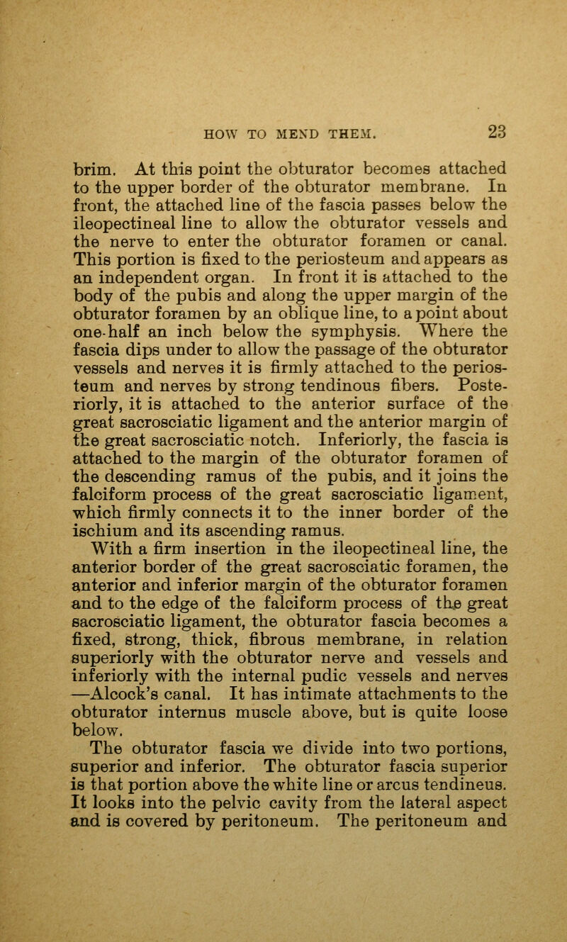 brim. At this point the obturator becomes attached to the upper border of the obturator membrane. In front, the attached line of the fascia passes below the ileopectineal line to allow the obturator vessels and the nerve to enter the obturator foramen or canal. This portion is fixed to the periosteum and appears as an independent organ. In front it is attached to the body of the pubis and along the upper margin of the obturator foramen by an oblique line, to a point about one-half an inch below the symphysis. Where the fascia dips under to allow the passage of the obturator vessels and nerves it is firmly attached to the perios- teum and nerves by strong tendinous fibers. Poste- riorly, it is attached to the anterior surface of the great sacrosciatic ligament and the anterior margin of the great sacrosciatic notch. Inferiorly, the fascia is attached to the margin of the obturator foramen of the descending ramus of the pubis, and it joins the falciform process of the great sacrosciatic ligament, which firmly connects it to the inner border of the ischium and its ascending ramus. With a firm insertion in the ileopectineal line, the anterior border of the great sacrosciatic foramen, the anterior and inferior margin of the obturator foramen and to the edge of the falciform process of thjB great sacrosciatic ligament, the obturator fascia becomes a fixed, strong, thick, fibrous membrane, in relation superiorly with the obturator nerve and vessels and inferiorly with the internal pudic vessels and nerves —Alcock's canal. It has intimate attachments to the obturator internus muscle above, but is quite loose below. The obturator fascia we divide into two portions, superior and inferior. The obturator fascia superior is that portion above the white line or arcus tendineus. It looks into the pelvic cavity from the lateral aspect and is covered by peritoneum. The peritoneum and