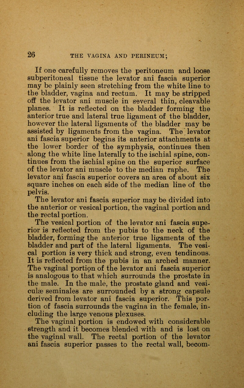 If one carefully removes the peritoneum and loose subperitoneal tissue the levator ani fascia superior may be plainly seen stretching from the white line to the bladder, vagina and rectum. It may be stripped off the levator ani muscle in several thin, cleavable planes. It is reflected on the bladder forming the anterior true and lateral true ligament of the bladder, however the lateral ligaments of the bladder may be assisted by ligaments from the vagina. The' levator ani fascia superior begins its anterior attachments at the lower border of the symphysis, continues then along the white line laterally to the ischial spine, con- tinues from the ischial spine on the superior surface of the levator ani muscle to the median raphe. The levator ani fascia superior covers an area of about six square inches on each side of the median line of the pelvis. The levator ani fascia superior may be divided into the anterior or vesical portion, the vaginal portion and the rectal portion. The vesical portion of the levator ani fascia supe- rior is reflected from the pubis to the neck of the bladder, forming the anterior true ligaments of the bladder and part of the lateral ligaments. The vesi- cal portion is very thick and strong, even tendinous. It is reflected from the pubis in an arched manner. The vaginal portion of the levator ani fascia superior is analogous to that which surrounds the prostate in the male. In the male, the prostate gland and vesi- culse seminales are surrounded by a strong capsule derived from levator ani fascia superior. This por- tion of fascia surrounds the vagina in the female, in- cluding the large venous plexuses. The vaginal portion is endowed with considerable strength and it becomes blended with and is lost on the vaginal wall. The rectal portion of the levator ani fascia superior passes to the rectal wall, becom-