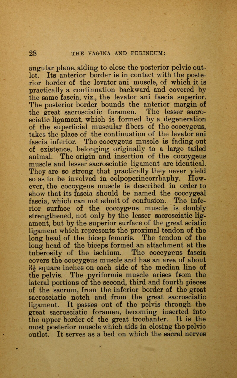 angular plane, aiding to close the posterior pelvic out- let. Its anterior border is in contact with the poste- rior border of the levator ani muscle, of which it is practically a continuation backward and covered by the same fascia, viz., the levator ani fascia superior. The posterior border bounds the anterior margin of the great sacrosciatic foramen. The lesser sacro- sciatic ligament, which is formed by a degeneration of the superficial muscular fibers of the coccygeus, takes the place of the continuation of the levator ani fascia inferior. The coccygeus muscle is fading out of existence, belonging originally to a large tailed animal. The origin and insertion of the coccygeus muscle and lesser sacrosciatic ligament are identical. They are so strong that practically they never yield so as to be involved in colpoperineorrhaphy. How- ever, the coccygeus muscle is described in order to show that its fascia should be named the coccygeal fascia, which can not admit of confusion. The infe- rior surface of the coccygeus muscle is doubly strengthened, not only by the lesser sacrosciatic lig- ament, but by the superior surface of the great sciatic ligament which represents the proximal tendon of the long head of the bicep femoris. The tendon of the long head of the biceps formed an attachment at the tuberosity of the ischium. The coccygeus fascia covers the coccygeus muscle and has an area of about 3J square inches on each side of the median line of the pelvis. The pyriformis muscle arises fsom the lateral portions of the second, third and fourth pieces of the sacrum, from the inferior border of the great sacrosciatic notch and from the great sacrosciatic ligament. It passes out of the pelvis through the great sacrosciatic foramen, becoming inserted into the upper border of the great trochanter. It is the most posterior muscle which aids in closing the pelvic outlet. It serves as a bed on which the sacral nerves