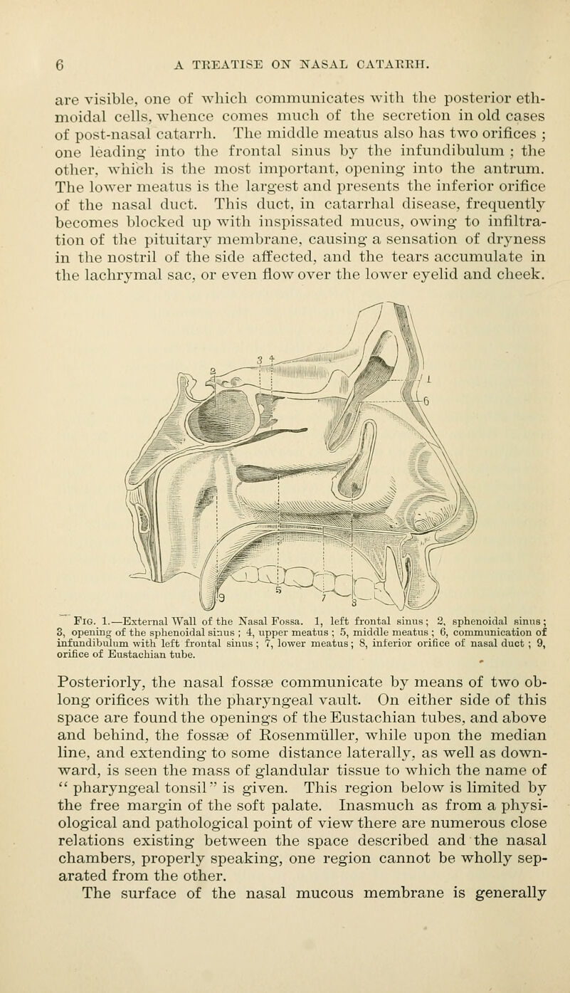 are visible, one of which communicates with the posterior eth- moidal cells, whence comes much of the secretion in old cases of post-nasal catarrh. The middle meatus also has two orifices ; one leading into the frontal sinus by the infundibulum ; the other, which is the most important, opening into the antrum. The lower meatus is the largest and presents the inferior orifice of the nasal duct. This duct, in catarrhal disease, frequently becomes blocked up Avith inspissated mucus, owing to infiltra- tion of the pituitary membrane, causing a sensation of dryness in the nostril of the side affected, and the tears accumulate in the lachrymal sac, or even flow over the lower eyelid and cheek. Fig. 1.—External Wall of the Nasal Fossa. 1, left frontal sinus; 2, sphenoidal sinus; 3, opening of the sphenoidal sinus ; 4, upper meatus ; .5, middle meatus ; 6, communication of infundibulum with left frontal sinus ; 7, lower meatus; 8, interior orifice of nasal duct ; 9, orifice of Eustachian tube. Posteriorly, the nasal fossse communicate by means of two ob- long orifices with the pharyngeal vault. On either side of this space are found the openings of the Eustachian tubes, and above and behind, the fossse of Rosenmiiller, while upon the median line, and extending to some distance laterally, as well as down- ward, is seen the mass of glandular tissue to which the name of pharyngeal tonsil is given. This region below is limited by the free margin of the soft palate. Inasmuch as from a physi- ological and pathological point of view there are numerous close rela^tions existing between the space described and the nasal chambers, properly speaking, one region cannot be wholly sep- arated from the other. The surface of the nasal mucous membrane is generally