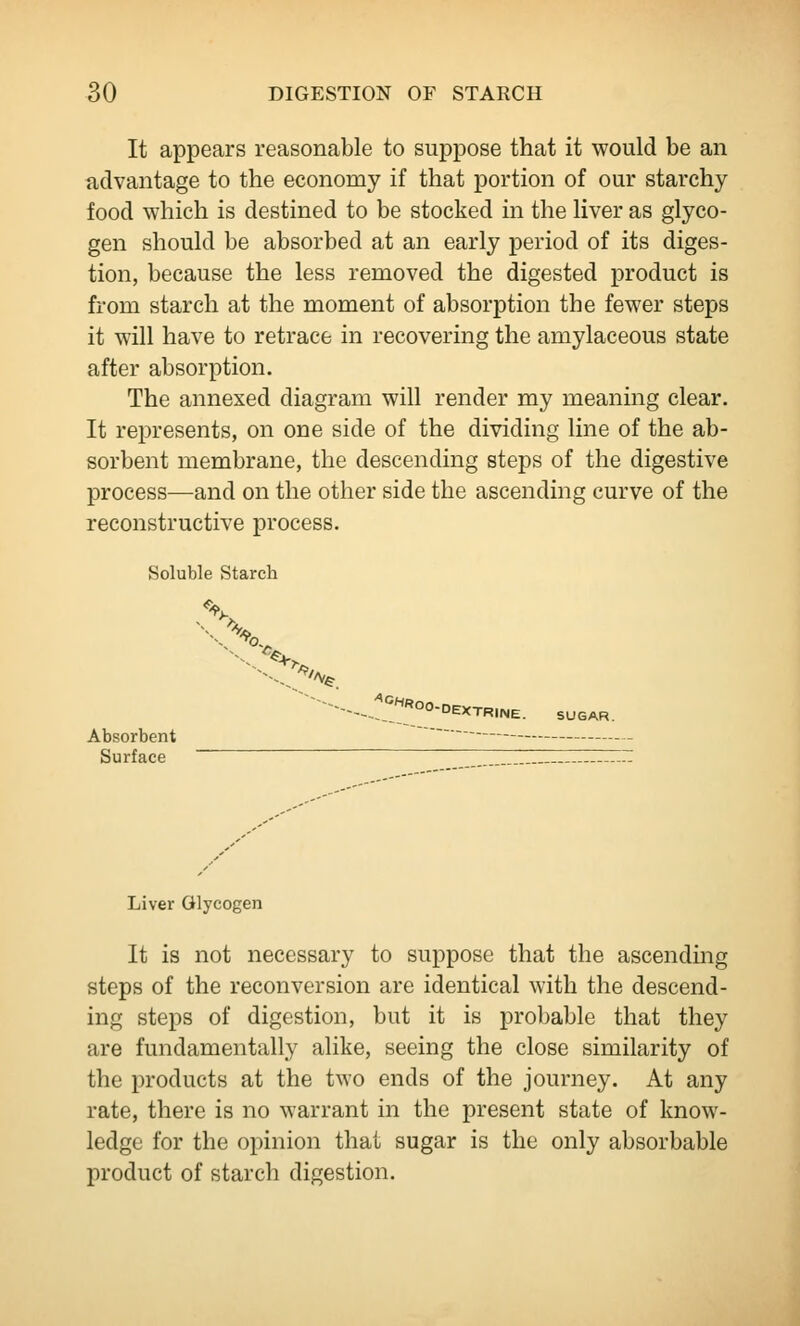 It appears reasonable to suppose that it would be an advantage to the economy if that portion of our starchy food which is destined to be stocked in the liver as glyco- gen should be absorbed at an early period of its diges- tion, because the less removed the digested product is from starch at the moment of absorption the fewer steps it will have to retrace in recovering the amylaceous state after absorption. The annexed diagram will render my meaning clear. It represents, on one side of the dividing line of the ab- sorbent membrane, the descending steps of the digestive process—and on the other side the ascending curve of the reconstructive process. Soluble Starch % X ■-.. ~^--. v-e. _^°««00-DEXTRINE. SUGAR. Absorbent Surface Liver Glycogen It is not necessary to suppose that the ascendmg steps of the reconversion are identical with the descend- ing steps of digestion, but it is probable that they are fundamentally alike, seeing the close similarity of the products at the two ends of the journey. At any rate, there is no warrant in the present state of know- ledge for the opinion that sugar is the only absorbable product of starch digestion.