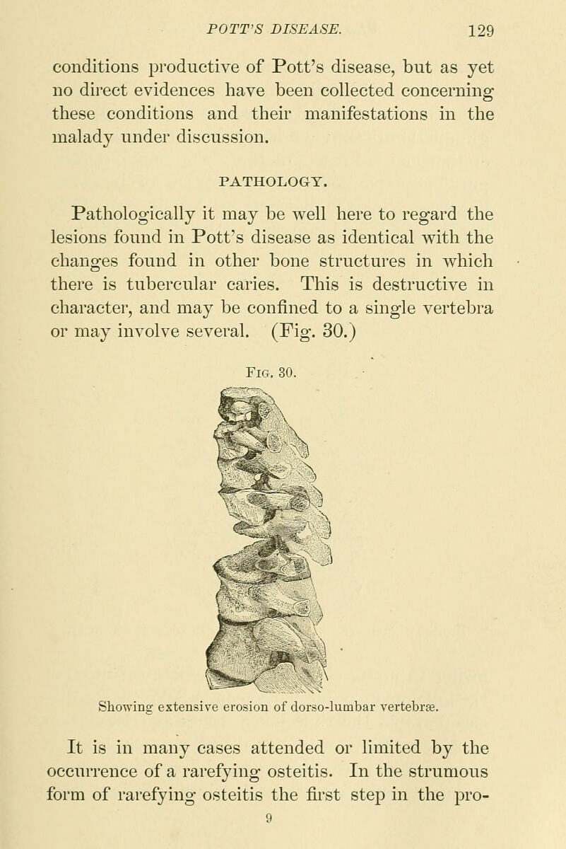 conditions productive of Pott's disease, but as yet no direct evidences have been collected concerning these conditions and their manifestations in the malady under discussion. PATHOLOGY. Pathologically it may be well here to regard the lesions found in Pott's disease as identical with the changes found in other bone structures in which there is tubercular caries. This is destructive in character, and may be confined to a single vertebra or may involve several. (Pig. 30.) Fig. 30. Showing extensive erosion of clorso-lumbar vertebrae. It is in many cases attended or limited by the occurrence of a rarefying osteitis. In the strumous form of rarefying osteitis the first step in the pro- 9