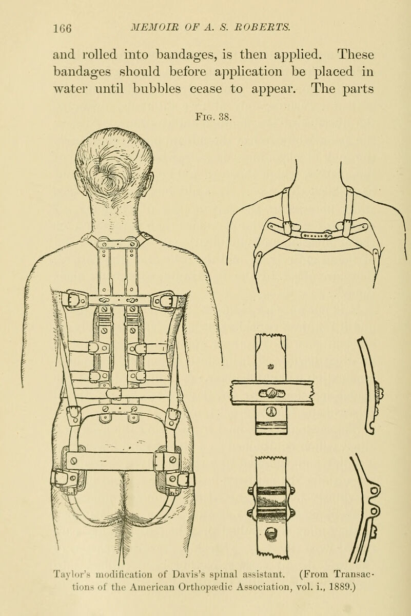 and rolled into bandages, is then applied. These bandages should before application be placed in water until bubbles cease to appear. The parts I lor'8 modification of Davis's spinal assistant. (From Transac- tion- oi the Americas Orthopedic Association, vol. i., 1889.)