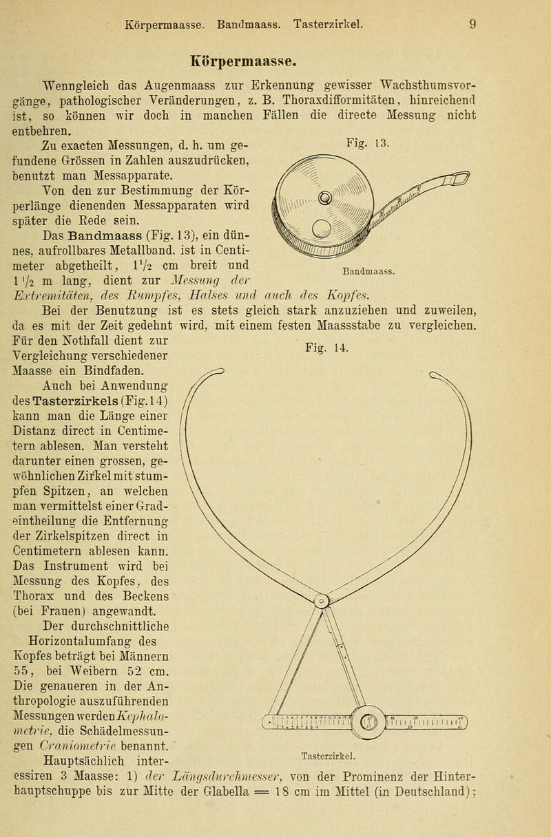 Körpermaasse. Bandmaass. Tasterzirkel. Bandmaass. Körpermaasse. Wenngleich das Augenmaass zur Erkennung gewisser Wachsthumsvor- gänge, pathologischer Veränderungen, z. B. Thoraxdifformitäten, hinreichend ist, so können wir doch in manchen Fällen die directe Messung nicht entbehren. Zu exacten Messungen, d. h. um ge- Fig. 13. fundene Grössen in Zahlen auszudrücken, benutzt man Messapparate. Von den zur Bestimmung der Kör- perlänge dienenden Messapparaten wird später die Eede sein. Das Bandmaass (Fig. 13), ein dün- nes, aufrollbares Metallband, ist in Centi- meter abgetheilt, IV2 cm breit und 172 m lang, dient zur Messung der Extremitäten, des Runqjfes, Halses und auch des Kopfes. Bei der Benutzung ist es stets gleich stark anzuziehen und zuweilen, da es mit der Zeit gedehnt wird, mit einem festen Maassstabe zu vergleichen. Für den Nothfall dient zur ^. r io 14 Vergleichung verschiedener &• • Maasse ein Bindfaden. Auch bei Anwendung des Tasterzirkels (Fig. 14) kann man die Länge einer Distanz direct in Centime- tern ablesen. Man versteht darunter einen grossen, ge- wöhnlichen Zirkel mit stum- pfen Spitzen, an welchen man vermittelst einer C4rad- eintheilung die Entfernung der Zirkelspitzen direct in Centimetern ablesen kann. Das Instrument wird bei Messung des Kopfes, des Thorax und des Beckens (bei Frauen) angewandt. Der durchschnittliche Horizontalumfang des Kopfes beträgt bei Männern 55, bei Weibern 52 cm. Die genaueren in der An- thropologie auszuführenden Messungen vferäenKejjhalo- metrie, die Schädelmessun- gen Craniometrie benannt. Hauptsächlich inter- essiren 3 Maasse: 1) der Längsdurchmesser, von der Prominenz der Hinter- hauptschuppe bis zur Mitte der Glabella = 18 cm im Mittel (in Deutschland); Tasterzirkel.