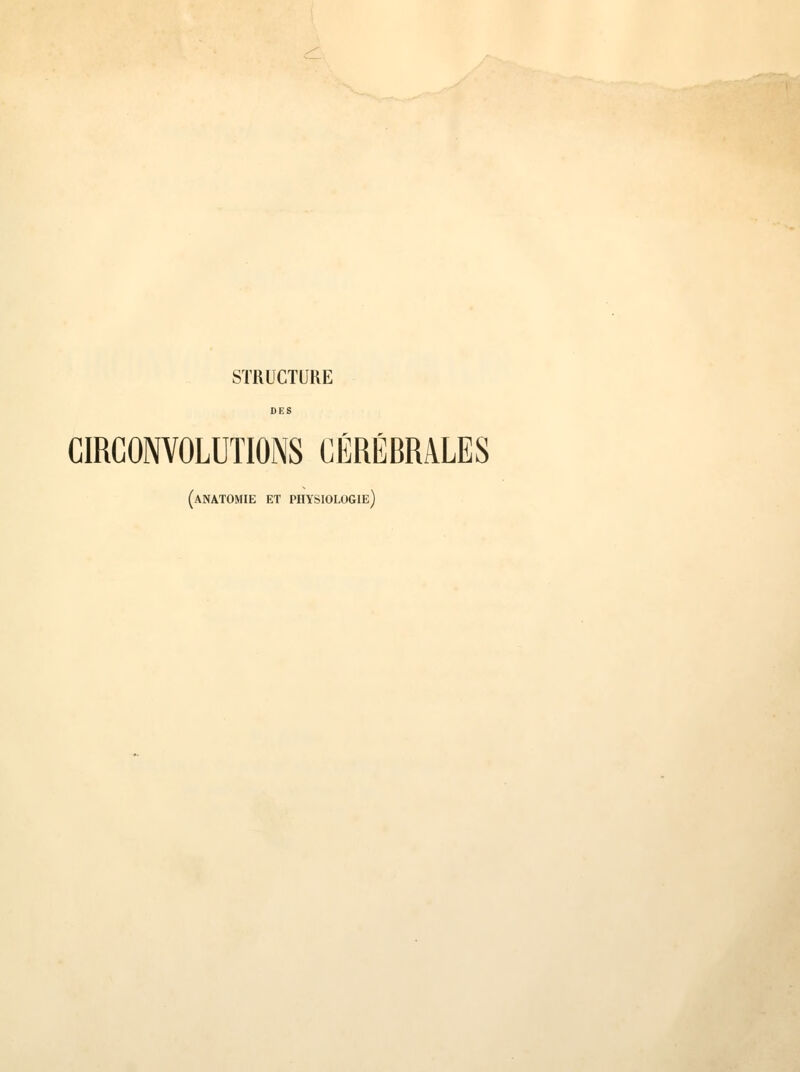 STRUCTURE CIRCONVOLUTIONS CÉRÉBRALES (anatomie et physiologie)