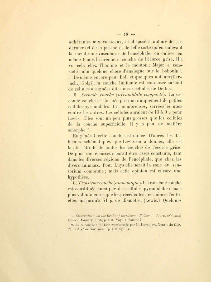 adhérentes aux vaisseaux, et disposées autour de ces derniers et de la pie-mère, de telle sorte qu'en enlevant la membrane vasculaire de l'encéphale, on enlève en même temps la première couche de l'écorce grise. Il a vu cela chez l'homme et le mouton; Major a con- staté enfin quelque chose d'analogue sur le babouin1. De même encore pour Boll et quelques auteurs (Ger- lach., Golgi), la couche limitante est composée surtout de cellules araignées dites aussi cellules de Deiters. B. Seconde couche [pyramidale compacte). La se- conde couche est formée presque uniquement de petites cellules pyramidales très-nombreuses, serrées les unes contre les autres. Ces cellules auraient de 13 à 9 [/. pour Lewis. Elles sont un peu plus grosses qae les cellules de la couche superficielle. Il y a peu de matière amorphe a. En général cette couche est mince. D'après les ta- bleaux schématiques que Lewis en a donnés, elle est la plus étroite de toutes les couches de l'écorce grise. De plus son épaisseur paraît être assez constante, tant dans les diverses régions de l'encéphale, que chez les divers animaux. Pour Luys elle serait la zone du sen- sorium commune ; mais cette opinion est encore une hypothèse. C. Troisième couche (ammoniquè). La troisième couche est constituée aussi par des cellules pyramidales; mais plus volumineuses que les précédentes : certaines d'entre elles ont jusqu'à 51 p. de diamètre. (Lewis.) Quelques I. Observations on the Brain oftheChacma Baboon.—Journ. ofmental science, January, 1876, p. 498. Voy. la planche I. II. Celte couche a élébien représentée par M. Duval. art. Nerfs, du Dicl. de •/uni. et de chir. prat., p. 480, fig. 74.