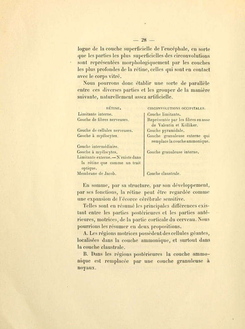 logue de la couche superficielle de l'encéphale, en sorte que les parties les plus superficielles des circonvolutions sont représentées morphologiquement par les couches les plus profondes de la rétine, celles qui sont en contact avec le corps vitré. Nous pourrons donc établir une sorte de parallèle entre ces diverses parties et les grouper de la manière suivante, naturellement assez artificielle. RETINE. Limitante interne. Couche de fibres nerveuses. Couche de cellules nerveuses. Couche à myélocytes. Couche intermédiaire. Couche à myélocytes. Limitante externe.—N'existe dans la rétine que comme un trait optique. Membrane de Jacob. CIRCONVOLUTIONS OCCIPITALES. Couche limitante. Représentée par les fibres en anse de Valentin et Kolliker. Couche pyramidale. Couche granuleuse externe qui remplace la couche ammonique. Couche granuleuse interne. Couche claustrale. En somme, par sa structure, par son développement, par ses fonctions, la rétine peut être regardée comme une expansion de l'écorce cérébrale sensitive. Telles sont en résumé les principales différences exis- tant entre les parties postérieures et les parties anté- rieures, motrices, de la partie corticale du cerveau. Nous pourrions les résumer en deux propositions. A. Les régions motrices possèdent des cellules géantes, localisées dans la couche ammonique, et surtout dans la couche claustrale. B. Dans les régions postérieures la couche ammo- nique est remplacée par une couche granuleuse à noyaux.