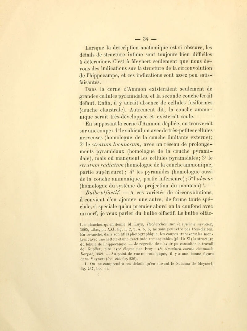 Lorsque la description anatomique est si obscure, les détails de structure intime sont toujours bien difficiles à déterminer. C'est à Meynert seulement que nous de- vons des indications sur la structure de la circonvolution de l'hippocampe, et ces indications sont assez peu satis- faisantes. Dans la corne d'Aramon existeraient seulement de grandes cellules pyramidales, et la seconde couche ferait défaut. Enfin, il y aurait absence de cellules fusiformes (couche claustrale). Autrement dit, la couche ammo- nique serait très-développée et existerait seule. En supposant la corne d'Ammon dépliée, on trouverait surunecoupe: l°le stibiculum avec de très-petites cellules nerveuses (homologue de la couche limitante externe) ; 2° le stralum lacunosum, avec un réseau de prolonge- ments pyramidaux (homologue de la couche pyrami- dale), mais où manquent les cellules pyramidales; 3° le stratum radiatum (homologue de la coucheamraonique, partie supérieure) ; 4° les pyramides (homologue aussi de la couche ammonique, partie inférieure) ; 5° Yalvcus (homologue du système de projection du manteau) '. Bulbe olfactif. — A ces variétés de circonvolutions, il convient d'en ajouter une autre, de forme toute spé- ciale, si spéciale qu'au premier abord on la confond avec un nerf, je veux parler du bulbe olfactif. Le bulbe olfac- Les planches qu'en donne M. Luys, Recherches sur le système nerveux, 1865, atlas, pi. XXI, fig. 1, 2, 3, k, 5, 6, ne sont peut-être pas très-claires. En revanche, dans son atlas photographique, les coupes transversales mon- trent avec une netteté et une exactitude remarquables (pi. I à XI) la structure du lobule de l'hippocampe. — Je regrette de n'avoir pu consulter le travail de Kupfler, cité avec éloges par Frey : De structura cornu Ammonis Dorpat, 1859. — Au point de vue microscopique, il y a une bonne figure dans Meynert (toc. cit. fig. 236). 1. On ne comprendra ces détails qu'en suivant le Schéma de Meynert, fig. 237, loc. cit.