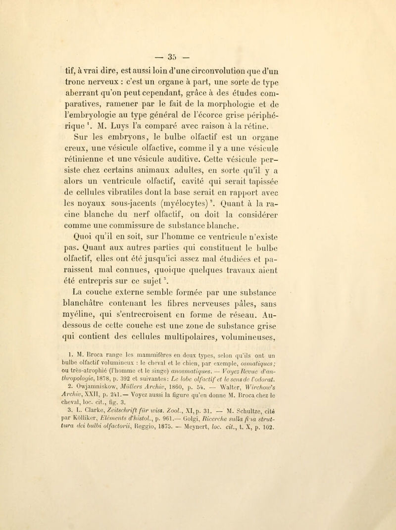 tif, à vrai dire, est aussi loin d'une circonvolution que d'un tronc nerveux : c'est un organe à part, une sorte de type aberrant qu'on peut cependant, grâce à des études com- paratives, ramener par le fait de la morphologie et de l'embryologie au type général de l'écorce grise périphé- rique \ M. Luys l'a comparé avec raison à la rétine. Sur les embryons, le bulbe olfactif est un organe creux, une vésicule olfactive, comme il y a une vésicule rétinienne et une vésicule auditive. Cette vésicule per- siste chez certains animaux adultes, en sorte qu'il y a alors un ventricule olfactif, cavité qui serait tapissée de cellules vibratiles dont la base serait en rapport avec les noyaux sous-jacents (myélocytes) \ Quant à la ra- cine blanche du nerf olfactif, on doit la considérer comme une commissure de substance blanche. Quoi qu'il en soit, sur l'homme ce ventricule n'existe pas. Quant aux autres parties qui constituent le bulbe olfactif, elles ont été jusqu'ici assez mal étudiées et pa- raissent mal connues, quoique quelques travaux aient été entrepris sur ce sujet \ La couche externe semble formée par une substance blanchâtre contenant les fibres nerveuses pâles, sans myéline, qui s'entrecroisent en forme de réseau. Au- dessous de cette couche est une zone de substance grise qui contient des cellules multipolaires, volumineuses, 1. M. Broca range les mammifères en deux types, selon qu'ils ont un bulbe olfactif volumineux : le cheval et le chien, par exemple, osmatiques; ou très-atrophié (l'homme et le singe) anosmatiques. — Voyez Revue d'an- thropologie, 1878, p. 392 et suivantes: Le lobe olfactif et lesensde l'odorat. 2. Owjamniskow, Milliers Archiv, 1860, p. 5k. — Walter, Wirchow's Archiv, XXII, p. 2U.— Voyez aussi la figure qu'en donne M. Broca chez le cheval, loc. cit., fig. 3. 3. L. Clarke, Zeitschrift fur luiss. Zool., XI, p. 31. — M. Schultze, cite par Kblliker, Eléments d'histol., p. 961.— Golgi, Ricercke sulla fini étrut- tura ilci bulbi olfactorii, Reggio, 1875. — Meynert, loc. cit., t. X, p. 102.