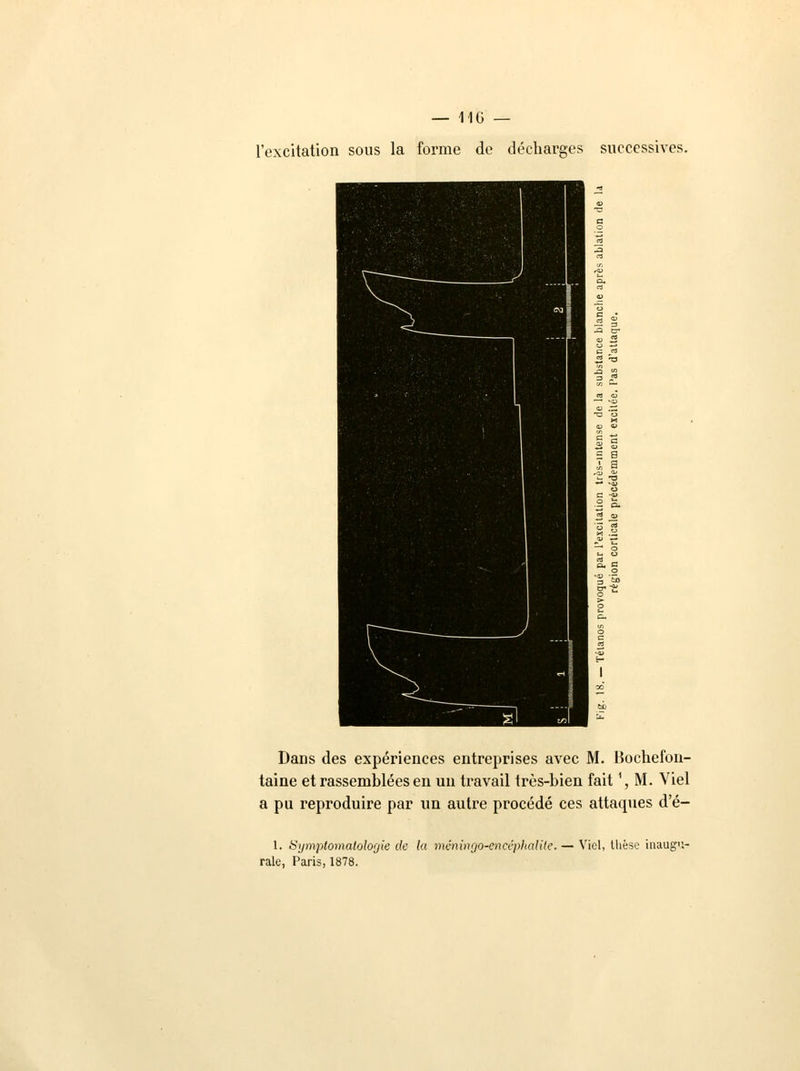 l'excitation sous la forme de décharges successives. Dans des expériences entreprises avec M. Bochefon- taine et rassemblées en un travail très-bien fait1, M. Viel a pu reproduire par un autre procédé ces attaques d'é- 1. Symptomatologie de la ménirtgo-encéphalite. — Viel, thèse inaugu- rale, Paris, 1878.