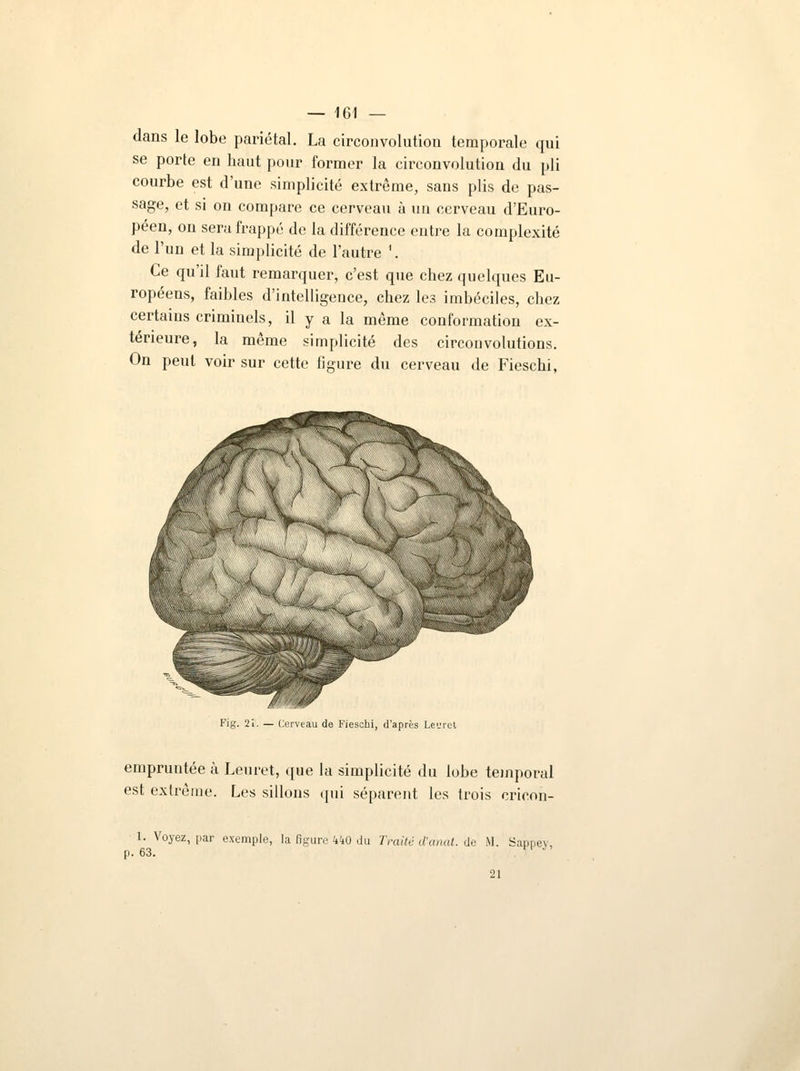 dans le lobe pariétal. La circonvolution temporale qui se porte en haut pour former la circonvolution du pli courbe est d'une simplicité extrême, sans plis de pas- sage, et si on compare ce cerveau à un cerveau d'Euro- péen, on sera frappé de la différence entre la complexité de l'un et la simplicité de l'autre '. Ce qu'il faut remarquer, c'est que chez quelques Eu- ropéens, faibles d'intelligence, chez les imbéciles, chez certains crimiuels, il y a la même conformation ex- térieure, la même simplicité des circonvolutions. On peut voir sur cette figure du cerveau de Fieschi, Fig. 2i. — Cerveau de Fieschi, d'après Leuret empruntée à Leuret, que la simplicité du lobe temporal est extrême. Les sillons qui séparent les trois crieon- 1. Voyez, par exemple, la figure 440 du Traité d'anat. de M. Sappei p. 63. '