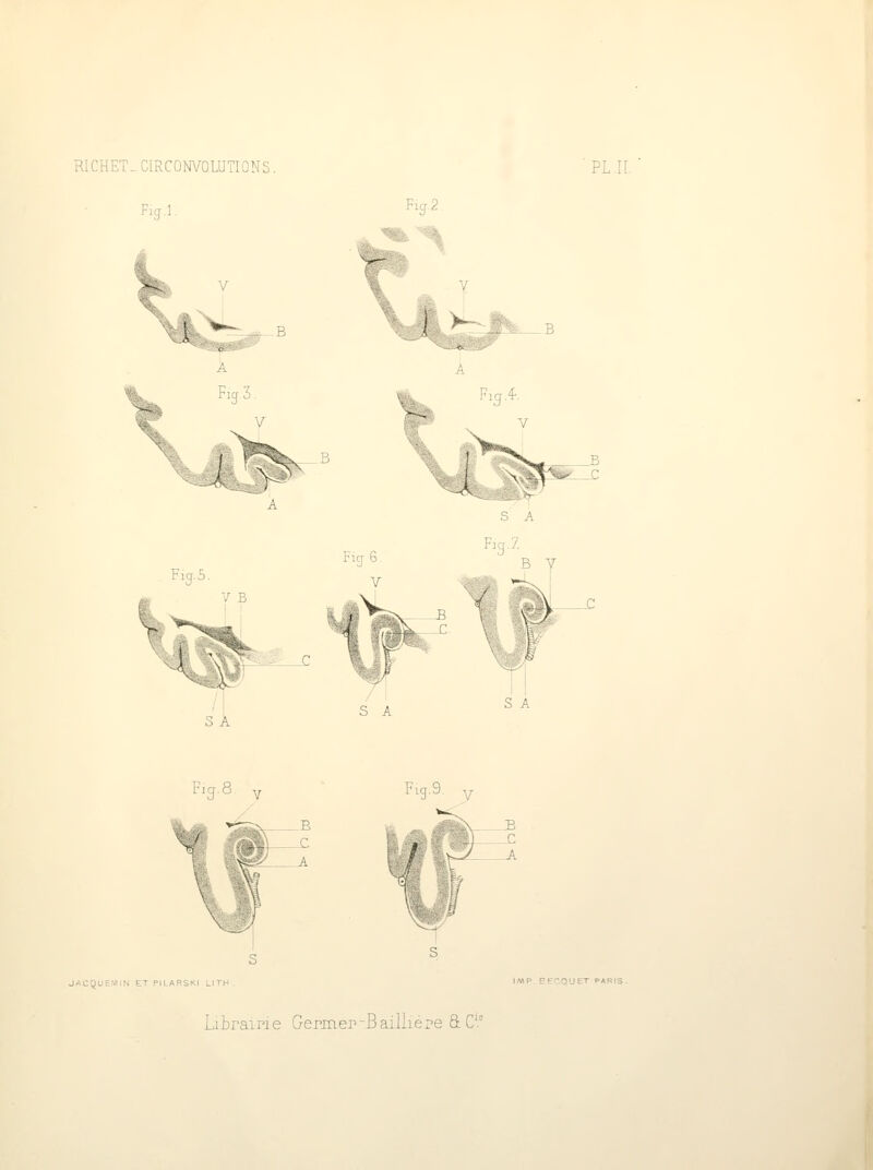 [ET. C1RCONV0LU' PL. Fig.l. >—- Fm.4-. : Fig.Z Ficr.8 sr-°- v ^i «H) c Fiq.9 g-3- V VIIN ET PILARSKI LITH . V