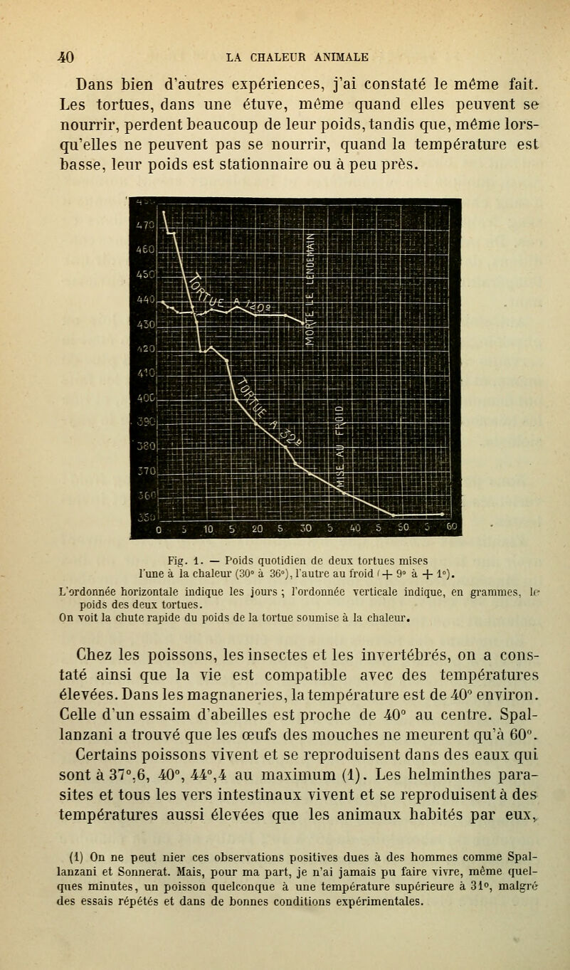 Dans bien d'autres expériences, j'ai constaté le même fait. Les tortues, dans une étuve, même quand elles peuvent se nourrir, perdent beaucoup de leur poids, tandis que, même lors- qu'elles ne peuvent pas se nourrir, quand la température est basse, leur poids est stationnaire ou à peu près. Fig. 1. — Poids quotidien de deux tortues mises Tune à la chaleur (30° à 36°),lautrc au froid '+9° à + 1°). L'ordonnée horizontale indique les jours ; l'ordonnée verticale indique, en grammes, le poids des deux tortues. On voit la chute rapide du poids de la tortue soumise à la chaleur. Chez les poissons, les insectes et les invertébrés, on a cons- taté ainsi que la vie est compatible avec des températures élevées. Dans les magnaneries, la température est de 40 environ. Celle d un essaim d'abeilles est proche de 40° au centre. Spal- lanzani a trouvé que les œufs des mouches ne meurent qu'à 60. Certains poissons vivent et se reproduisent dans des eaux qui sont à 37°,6, 40% 44°,4 au maximum (1). Les helminthes para- sites et tous les vers intestinaux vivent et se reproduisent à des températures aussi élevées que les animaux habités par eux,, (1) On ne peut nier ces observations positives dues à des hommes comme Spal- lauzani et Sonnerat. Mais, pour ma part, je n'ai jamais pu faire vivre, même quel- ques minutes, un poisson quelconque à une température supérieure à 310, malgré des essais répétés et dans de bonnes conditions expérimentales.