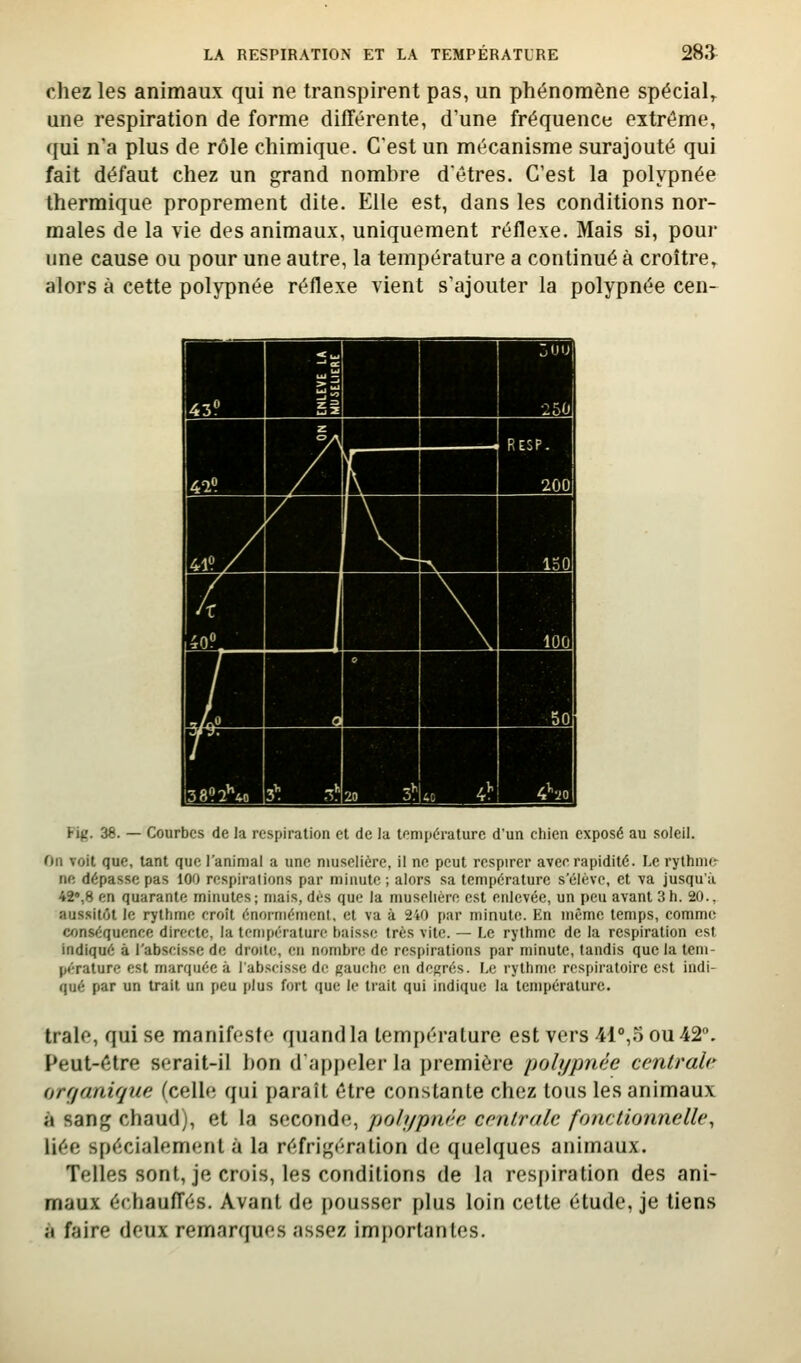 chez les animaux qui ne transpirent pas, un phénomène spécial^ une respiration de forme différente, d'une fréquence extrême, qui n'a plus de rôle chimique. C'est un mécanisme surajouté qui fait défaut chez un grand nombre détres. C'est la polypnée thermique proprement dite. Elle est, dans les conditions nor- males de la vie des animaux, uniquement réflexe. Mais si, pour une cause ou pour une autre, la température a continué à croître, alors à cette polypnée réflexe vient s'ajouter la polypnée cen- Fig. 38. — Courbes de la respiration et de la température d'un chien exposé au soleil. On voit que, tant que l'animal a une muselière, il ne peut respirer avee rapidité. Le rythme ne dépasse pas 100 respirations par minute ; alors sa température s'élève, et va jusqu'à •42»,8 en quarante minutes; mais, dés que la muselière est enlevée, un peu avant 3h. 20., aussitôt le rythme croit énormémenl, et va à 240 par minute. En même temps, comme conséquence directe, la température baisse très vite. — Le rythme de la respiration est indiqué à l'abscisse de droite, en nombre de respirations par minute, tandis que la tem- pérature est marquée à l'abscisse de gauche en degrés. Le rythme respiratoire est indi- qué par un trait un peu plus fort que le trait qui indique la température. traie, qui se manifeste quand la température est vers 41°,5 ou 42. Peut-être serait-il bon dappeler la première polypnée centrale orf/anique (cell«; qui paraît être constante chez tous les animaux à sang chaud), et la seconde, j^olypnèe centrale fonctionnelle^ liée spécialement à la réfrigération de quelques animaux. Telles sont, je crois, les conditions de la res[)iration des ani- maux échauffés. Avant de pousser plus loin cette étude, je tiens à faire deux remarques assez importantes.