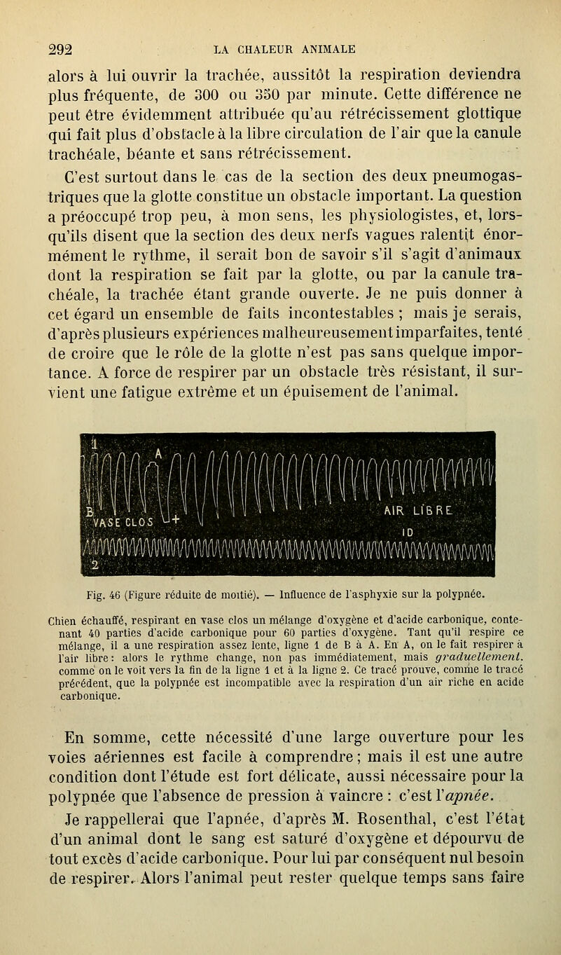 alors à lui ouvrir la trachée, aussitôt la respiration deviendra plus fréquente, de 300 ou 330 par minute. Cette différence ne peut être évidemment attribuée qu'au rétrécissement glottique qui fait plus d'obstacle à la libre circulation de l'air que la canule trachéale, béante et sans rétrécissement. C'est surtout dans le cas de la section des deux pneumogas- triques que la glotte constitue un obstacle important. La question a préoccupé trop peu, à mon sens, les physiologistes, et, lors- qu'ils disent que la section des deux nerfs vagues ralentit énor- mément le rythme, il serait bon de savoir s'il s'agit d'animaux dont la respiration se fait par la glotte, ou par la canule tra- chéale, la trachée étant grande ouverte. Je ne puis donner à cet égard un ensemble de faits incontestables ; mais je serais, d'après plusieurs expériences malheureusement imparfaites, tenté de croire que le rôle de la glotte n'est pas sans quelque impor- tance. A force de respirer par un obstacle très résistant, il sur- vient une fatigue extrême et un épuisement de l'animal. VASE CLOS U+ W in/\Art/i(inflft(\(\f\ J\i\llll--\Piv\i mwmmwmmmm\mmmwmm\i MR LIBRE AAArt(\(lfWiiin/l,AnnAAAA Chien échauffé, respirant en vase clos un mélange d'oxygène et d'acide carbonique, conte- nant 40 parties d'acide carbonique pour 60 parties d'oxygène. Tant qu'il respire ce mélange, il a une respiration assez lente, ligne 1 de B à A. En A, on le fait respirer à l'air libre : alors le rythme change, non pas immédiatement, mais graduellement. comme on le voit vers la fin de la ligne 1 et à la ligne 2. Ce tracé prouve, comme le tracé précédent, que la polypnée est incompatible avec la respiration d'un air riche en acide cai'bonique. En somme, cette nécessité d'une large ouverture pour les voies aériennes est facile à comprendre ; mais il est une autre condition dont l'étude est fort délicate, aussi nécessaire pour la polypnée que l'absence de pression à vaincre : c'est Vapnée. Je rappellerai que l'apnée, d'après M. Rosenthal, c'est l'état d'un animal dont le sang est saturé d'oxygène et dépourvu de tout excès d'acide carbonique. Pour lui par conséquent nul besoin de respirer. Alors l'animal peut rester quelque temps sans faire