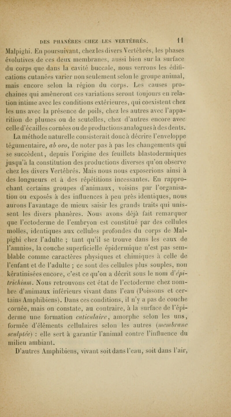 .Malj)iLilii. Kii poursuivant, chez les divers Vertébrés, les phases évolutives de ces deux uienibiaiies, aussi bien sui' la snilace du corps que dans la cavité buccale, nous verrons les édili- cations cutanéc^s varier non seulement selon le ^a-oupe animal, mais encore selon la réi-ion du corps. Les causes pro- chaines qui amèneront ces variations seront toujours en rela- tion intime avec les conditions extérieures, qui coexistent chez les uns avec la présence de poils, chez les autres avec l'appa- rition de plumes ou de scutelles, chez d'autres encore avec celle d'écaillés cornées ou de productions analogues à des dents. La méthode naturelle consisterait donc à décrire l'enveloppe tégumentaire, ah ovo, de noter pas à pas les changements qui se succèdent, depuis l'origine des feuillets blastodermiques jusqu'à la constitution des productions diverses qu'on observe chez les divers Vertébrés. Mais nous nous exposerions ainsi à des longueurs et à des répétitions incessantes. En rappro- chant certains groupes d'animaux, voisins par l'organisa- tion ou exposés à des inlUiences à peu près identiques, nous aurons l'avantage de mieux saisir les grands traits qui unis- sent les divers phanères. iNous avons déjà l'ait remarquer que l'ectoderme de l'embryon est constitué par des cellules molles, identiques aux cellules profondes du corps de Mal- pighi chez l'adulte ; tant qu'il se trouve dans les eaux de l'amnios, la couche superficielle épidermique n'est pas sem- blable comme caractères physiques et chimiques à celle de l'enfant et de l'adulte ; ce sont des cellules plus souples, non kératinisées encore, c'est ce qu'on a décrit sous le nom d'epl- trkhiuiii. Nous retrouvons cet état de l'ectoderme chez nom- bre d'animaux inférieurs vivant dans l'eau (Poissons et cer- tains Amphibiens). Dans ces conditions, il n'y a pas de couche cornée, mais on constate, au contraire, à la surface de l'épi- derme une formation cxticalaire, amorphe selon les uns, formée d'éléments cellulaires selon les autres {membrane sculptée) : elle sert à garantir l'animal contre l'influence du milieu ambiant. D'autres Amphibiens, vivant soit dans l'eau, soit dans l'air,