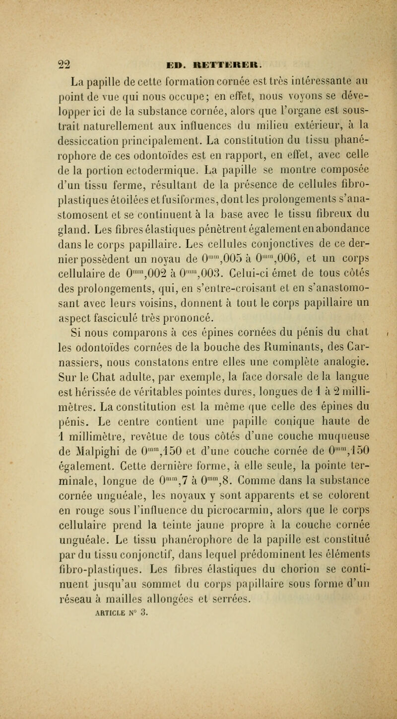 La papille de cette formation cornée est très intéressante au point de vue qui nous occupe; en effet, nous voyons se déve- lopper ici de la substance cornée, alors que l'organe est sous- trait naturellement aux influences du milieu extérieur, à la dessiccation principalement. La consLitulion du tissu phané- rophore de ces odontoïdes est en rapport, en effet, avec celle de la portion ectodermique. La papille se montre composée d'un tissu ferme, résultant de la présence de cellules fibro- plastiques étoilées et fusiformes, dont les prolongements s'ana- stomosent et se continuent à la base avec le tissu fibreux du gland. Les fibres élastiques pénètrent également en abondance dans le corps papillaire. Les cellules conjonctives de ce der- nier possèdent un noyau de 0,005 à 0,006, et un corps cellulaire de 0,002 à 0,003. Celui-ci émet de tous côtés des prolongements, qui, en s'entre-croisant et en s'anastomo- sant avec leurs voisins, donnent à tout le corps papillaire un aspect fascicule très prononcé. Si nous comparons à ces épines cornées du pénis du chat / les odontoïdes cornées de la bouche des Ruminants, des Car- nassiers, nous constatons entre elles une complète analogie. Sur le Chat adulte, par exemple, la face dorsale de la langue est hérissée de véritables pointes dures, longues de i à 2 milli- mètres. La constitution est la môme que celle des épines du pénis. Le centre contient une papille conique haute de 1 millimètre, revêtue de tous côtés d'une couche muqueuse de Malpighi de 0'™,i50 et d'une couche cornée de 0,i50 également. Cette dernière forme, k elle seule, la pointe ter- minale, longue de 0%7 à 0,8. Comme dans la substance cornée unguéale, les noyaux y sont apparents et se colorent en rouge sous l'influence du picrocarmin, alors que le corps cellulaire prend la teinte jaune propre à la couche cornée unguéale. Le tissu phanérophore de la papille est constitué par du tissu conjonctif, dans lequel prédominent les éléments fibro-plastiques. Les fibres élastiques du chorion se conti- nuent jusqu'au sommet du corps papillaire sous forme d'un réseau à mailles allongées et serrées.