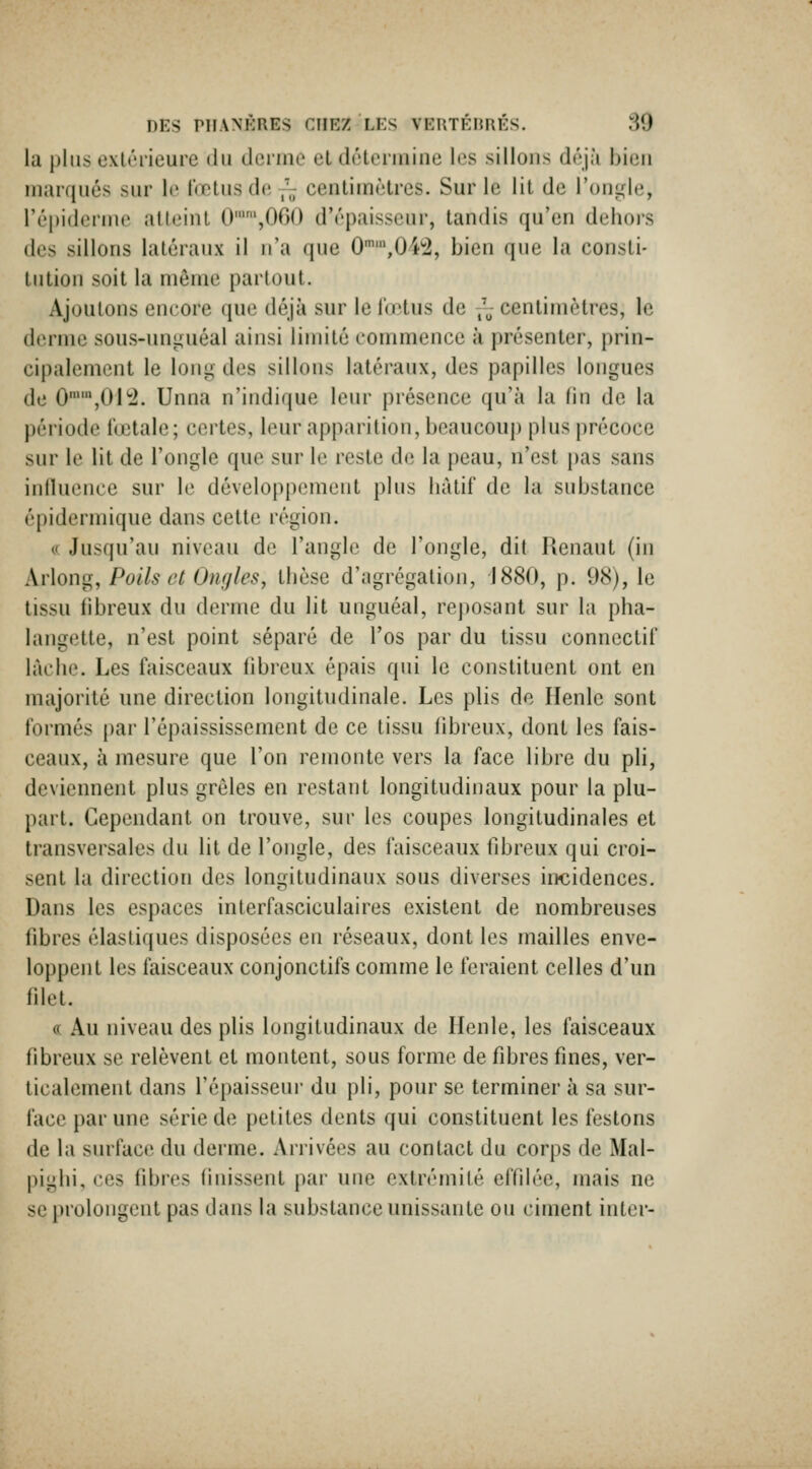 la plus e\lt''i'ieure du derino el dôtorinine les sillons déjà bien marqués sur le tœlus d(! ,'„- ccntiinèlrcs. Sur le lit de l'oni^de, répidcnne atteint 0'',000 d'épaisseur, tandis qu'en dehors des sillons latéraux il n'a ([ue 0,042, bien que la consti- tution soit la môme partout. Ajoutons encore (jne déjà sur le In'tus de ,'-centimètres, le derme sous-uni;uéal ainsi limité commence à présenter, prin- cipalement le long des sillons latéraux, des papilles longues de 0,01'2. Unna n'indique leur présence qu'à la (in de la période fœtale; certes, leur apparition, beaucoup plus précoce sur le lit de l'ongle que sur le reste de la peau, n'est pas sans intluence sur le développement plus liàtif de la substance épidermique dans cette région. c' Jusqu'au niveau de l'angle de l'ongle, dit Renaut (in Avlong,, Poils et Ongles, thèse d'agrégation, 1880, p. 98), le tissu iibreux du derme du lit unguéal, reposant sur la pha- langette, n'est point séparé de l'os par du tissu connectii' lâche. Les faisceaux fibreux épais qui le constituent ont en majorité une direction longitudinale. Les plis de lïenlc sont formés par Tépaississement de ce tissu iibreux, dont les fais- ceaux, à mesure que l'on remonte vers la face libre du pli, deviennent plus grêles en restant longitudinaux pour la plu- part. Cependant on trouve, sur les coupes longitudinales et transversales du lit de l'ongle, des faisceaux hbreux qui croi- sent la direction des longitudinaux sous diverses incidences. Dans les espaces interfasciculaires existent de nombreuses fibres élastiques disposées en réseaux, dont les mailles enve- loppent les faisceaux conjonctifs comme le feraient celles d'un lilet. « Au niveau des plis longitudinaux de Ilenle, les faisceaux fibreux se relèvent et montent, sous forme de fibres fines, ver- ticalement dans l'épaisseui du pli, pour se terminer à sa sur- face par une série de petites dents qui constituent les festons de la surface du derme. Arrivées au contact du corps de Mal- pighi, ces fibres finissent par une extrémité effilée, mais ne se prolongent pas dans la substance unissante ou ciment inter-