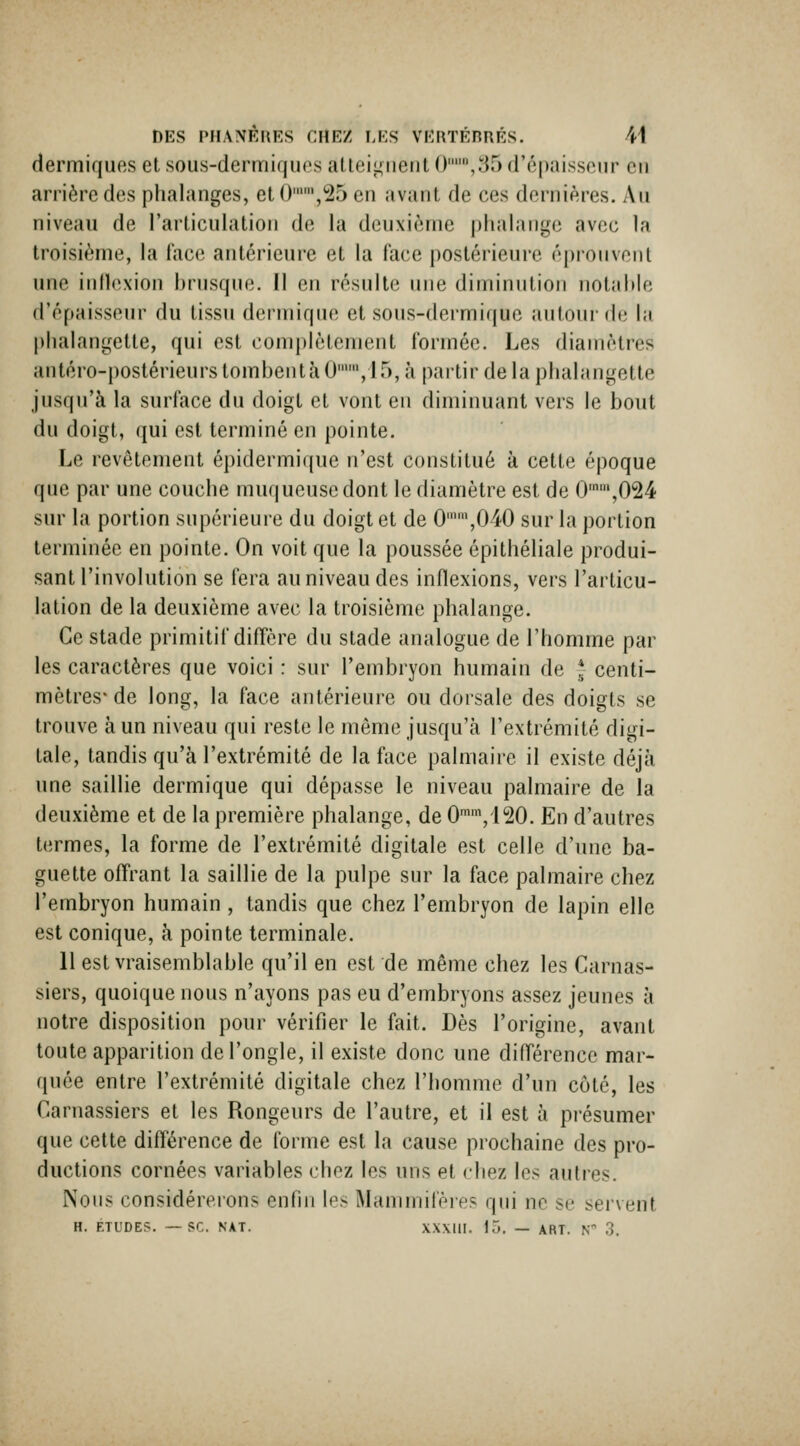 dermiques et sous-dermiques aUeii^iient 0,35 d'épaisseur en arrière des phalanges, et (),*25 en avant de ces dernières. Au niveau de l'articulation de la deuxième phalange avec la troisième, la face antérieure et la face postérieure éprouvent une inlhîxion brusque. Il en résulte une diminution uotahie d'épaisseur du tissu deruiique et sous-dermique autour de la phalangette, qui est com|»iètement formée. Les diamètres antéro-postérieurs tombent à 0, 15, à partir de la phalangette jusqu'à la surface du doigt et vont en diminuant vers le bout du doigt, qui est terminé en pointe. Le revêtement éi)idermif(ue n'est constitué à cette époque que par une couche muf|ueusedont le diamètre est de 0'',024 sur la portion supérieure du doigt et de 0,040 sur la portion terminée en pointe. On voit que la poussée épithéliale produi- sant l'involution se fera au niveau des inflexions, vers l'articu- lation de la deuxième avec la troisième phalange. Ce stade primitif diflère du stade analogue de l'homme par les caractères que voici : sur l'embryon humain de * centi- mètres-de long, la face antérieure ou dorsale des doigts se trouve à un niveau qui reste le même jusqu'à l'extrémité digi- tale, tandis qu'à l'extrémité de la face palmaire il existe déjà une saillie dermique qui dépasse le niveau palmaire de la deuxième et de la première phalange, de 0,i20. En d'autres termes, la forme de l'extrémité digitale est celle d'une ba- guette offrant la saillie de la pulpe sur la face palmaire chez l'embryon humain , tandis que chez l'embryon de lapin elle est conique, à pointe terminale. 11 est vraisemblable qu'il en est de même chez les Carnas- siers, quoique nous n'ayons pas eu d'embryons assez jeunes à notre disposition pour vérifier le fait. Dès l'origine, avant toute apparition de l'ongle, il existe donc une difl'érencc mar- (piée entre l'extrémité digitale chez l'homme d'un côté, les Carnassiers et les Rongeurs de l'autre, et il est à présumer que cette différence de forme est la cause prochaine des pro- ductions cornées variables chez les uns et chez les autres. Nous considérerons enfin les Mammifères qui ne se servent