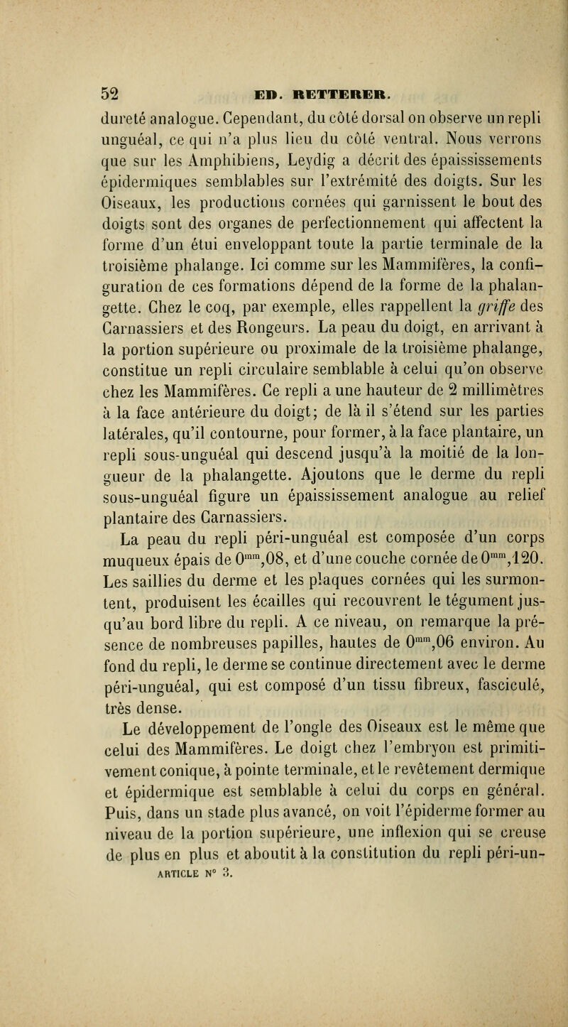 dureté analogue. Cependant, du côté dorsal on observe un repli unguéal, ce qui n'a plus lieu du côté ventral. Nous verrons que sur les Amphibiens, Leydig a décrit des épaississements épidermiques semblables sur l'extrémité des doigts. Sur les Oiseaux, les productions cornées qui garnissent le bout des doigts sont des organes de perfectionnement qui affectent la forme d'un étui enveloppant toute la partie terminale de la troisième phalange. Ici comme sur les Mammifères, la confi- guration de ces formations dépend de la forme de la phalan- gette. Chez le coq, par exemple, elles rappellent la griffe des Carnassiers et des Rongeurs. La peau du doigt, en arrivant à la portion supérieure ou proximale de la troisième phalange, constitue un repli circulaire semblable à celui qu'on observe chez les Mammifères. Ce repli a une hauteur de 2 millimètres à la face antérieure du doigt; de là il s'étend sur les parties latérales, qu'il contourne, pour former, à la face plantaire, un repli sous-unguéal qui descend jusqu'à la moitié de la lon- gueur de la phalangette. Ajoutons que le derme du repli sous-unguéal figure un épaississement analogue au relief plantaire des Carnassiers. La peau du repli péri-unguéal est composée d'un corps muqueux épais de 0'™,08, et d'une couche cornée de 0™™,120. Les saillies du derme et les plaques cornées qui les surmon- tent, produisent les écailles qui recouvrent le tégument jus- qu'au bord libre du repli. A ce niveau, on remarque la pré- sence de nombreuses papilles, hautes de 0'\06 environ. Au fond du repli, le derme se continue directement avec le derme péri-unguéal, qui est composé d'un tissu fibreux, fascicule, très dense. Le développement de l'ongle des Oiseaux est le même que celui des Mammifères. Le doigt chez l'embryon est primiti- vement conique, à pointe terminale, et le revêtement dermique et épidermique est semblable à celui du corps en général. Puis, dans un stade plus avancé, on voit l'épiderme former au niveau de la portion supérieure, une inflexion qui se creuse de plus en plus et aboutit à la constitution du repli péri-un-