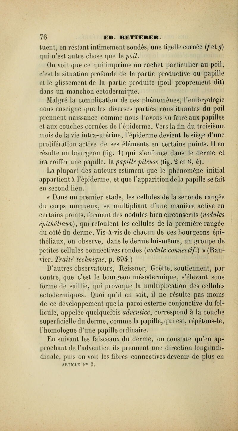 tuent, en restant intimement soudés, une tigelle cornée (feig) qui n'est autre chose que le poil. On voit que ce qui imprime un cachet particulier au poil, c'est la situation profonde de la partie productive ou papille et le glissement de la partie produite (poil proprement dit) dans un manchon ectodermique. Malgré la complication de ces phénomènes, l'embryologie nous enseigne que les diverses parties constituantes du poil prennent naissance comme nous l'avons vu faire aux papilles et aux couches cornées de l'cpiderme. Vers la fm du troisième mois de la vie intra-utérine, l'épiderme devient le siège d'une prolifération active de ses éléments en certains points. Il en résulte un bourgeon (fig. 1) qui s'enfonce dans le derme et ira coiffer une papille, la papille pileuse (fig. 2 et 3, h). La plupart des auteurs estiment que le phénomène initial appartient à l'épiderme, et que l'apparition de la papille se fait en second lieu. « Dans un premier stade, les cellules de la seconde rangée du corps muqueux, se multipliant d'une manière active en certains points, forment des nodules bien circonscrits {nodules épithéliaux), qui refoulent les cellules de la première rangée du côté du derme. Vis-à-vis de chacun de ces bourgeons épi- théliaux, on observe, dans le derme lui-même, un groupe de petites cellules connectives rondes (nodule connectif.) » (Ran- vier. Traité technique, p. 894.) D'autres observateurs, Reissner, Goëtte, soutiennent, par contre, que c'est le bourgeon mésodermique, s'élevant sous forme de saillie, qui provoque la multiplication des cellules ectodermiques. Quoi qu'il en soit, il ne résulte pas moins de ce développement que la paroi externe conjonctive du fol- licule, appelée quelquefois adventice, correspond à la couche superficielle du derme, comme la papille, qui est, répétons-le, l'homologue d'une papille ordinaire. En suivant les faisceaux du derme, on constate qu'en ap- prochant de l'adventice ils prennent une direction longitudi- dinale, puis on voit les fibres connectives devenir de plus en