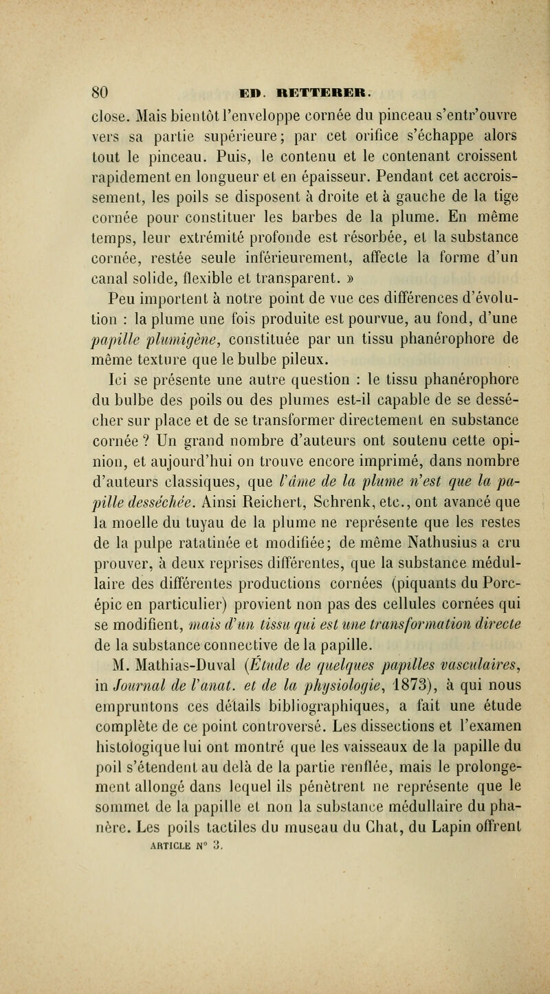 close. Mais bientôt l'enveloppe cornée du pinceau s'entr'ouvre vers sa partie supérieure; par cet orifice s'échappe alors tout le pinceau. Puis, le contenu et le contenant croissent rapidement en longueur et en épaisseur. Pendant cet accrois- sement, les poils se disposent à droite et à gauche de la tige cornée pour constituer les barbes de la plume. En même temps, leur extrémité profonde est résorbée, et la substance cornée, restée seule inférieurement, affecte la forme d'un canal solide, flexible et transparent. » Peu importent à notre point de vue ces différences d'évolu- tion : la plume une fois produite est pourvue, au fond, d'une papille plumigène, constituée par un tissu phanérophore de même texture que le bulbe pileux. Ici se présente une autre question : le tissu phanérophore du bulbe des poils ou des plumes est-il capable de se dessé- cher sur place et de se transformer directement en substance cornée ? Un grand nombre d'auteurs ont soutenu cette opi- nion, et aujourd'hui on trouve encore imprimé, dans nombre d'auteurs classiques, que l'âme de la plume n'est que la pa- pille desséchée. Ainsi Reichert, Schrenk, etc., ont avancé que la moelle du tuyau de la plume ne représente que les restes de la pulpe ratatinée et modifiée; de même Nathusius a cru prouver, à deux reprises différentes, que la substance médul- laire des différentes productions cornées (piquants du Porc- épic en particulier) provient non pas des cellules cornées qui se modifient, mais d'un tissu qui est une transformation directe de la substance connective de la papille. M. Mathias-Duval (Étude de quelques papilles vasculaires, in Journal de l'anat. et de la physiologie^ 1873), à qui nous empruntons ces détails bibliographiques, a fait une étude complète de ce point controversé. Les dissections et l'examen histoïogiquelui ont montré que les vaisseaux de la papille du poil s'étendent au delà de la partie renflée, mais le prolonge- ment allongé dans lequel ils pénètrent ne représente que le sommet de la papille et non la substance médullaire du pha- nère. Les poils tactiles du museau du Chat, du Lapin offrent