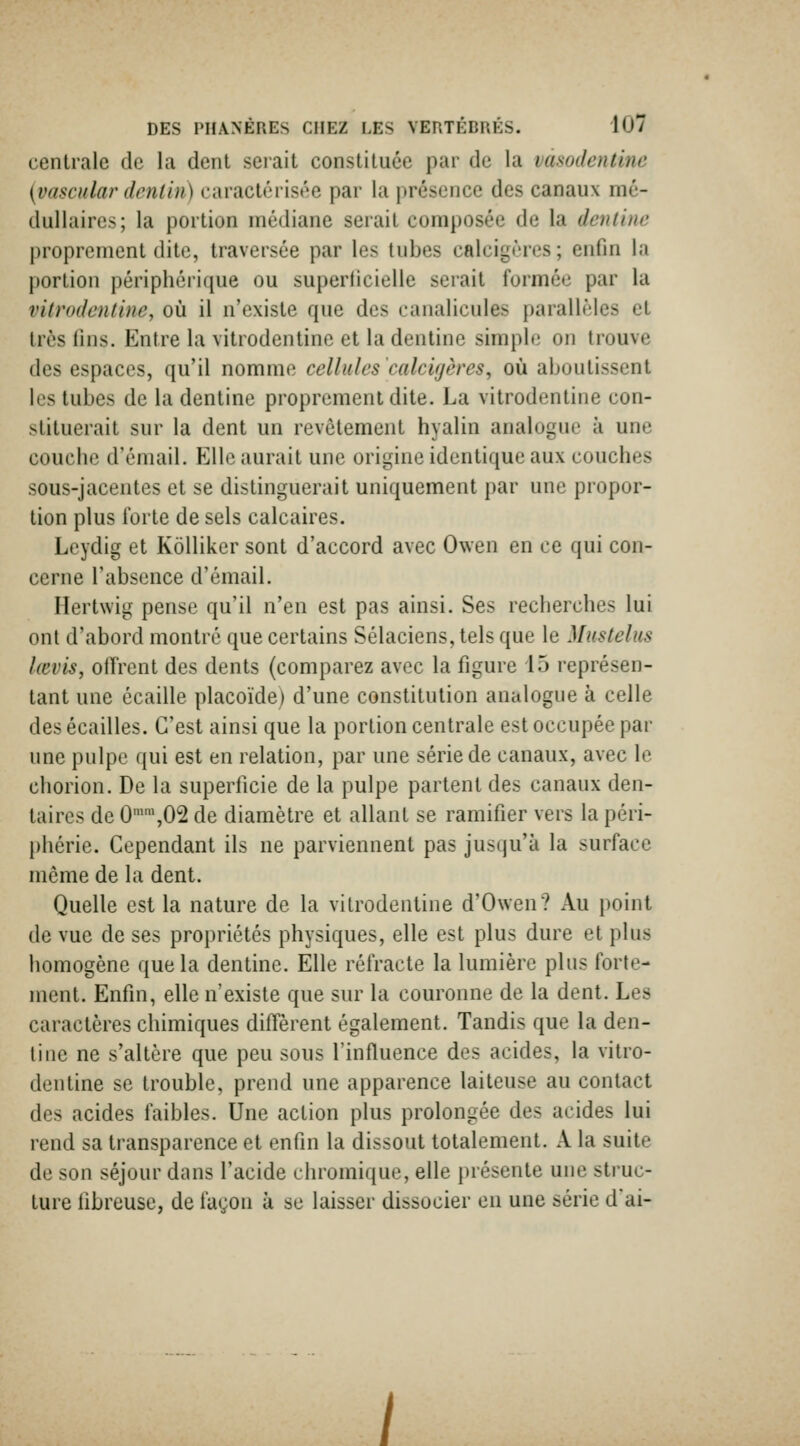 centrale de la dent serait constituée par de la vmodentine {vasciflar dcntin) caractérisée par la présence des canaux mé- dullaires; la portion médiane serait composée de la denlinc proprement dite, traversée par les tubes calcigères; enfin la portion périphérique ou superficielle serait formée par la vitrodcntine, où il n'existe que des canalicules parallèles et 1res lins. Entre la vitrodcntine et la dentine simple on trouve des espaces, qu'il nomme cellules calcigères, où aboutissent les tubes de la dentine proprement dite. La vitrodcntine con- stituerait sur la dent un revêtement hyalin analogue à une couche d'émail. Elle aurait une origine identique aux couches sous-jacentes et se distinguerait uniquement par une propor- tion plus forte de sels calcaires. Leydig et Kôlliker sont d'accord avec Owen en ce qui con- cerne l'absence d'émail. Hertwig pense qu'il n'en est pas ainsi. Ses recherches lui ont d'abord montré que certains Sélaciens, tels que le Mustelus lievis, offrent des dents (comparez avec la figure 15 représen- tant une écaille placoïde) d'une constitution analogue à celle des écailles. C'est ainsi que la portion centrale est occupée par une pulpe qui est en relation, par une série de canaux, avec le chorion. De la superficie de la pulpe partent des canaux den- taires de O^^jOS de diamètre et allant se ramifier vers la péri- phérie. Cependant ils ne parviennent pas jusqu'à la surface nième de la dent. Quelle est la nature de la vitrodcntine d'Owen? Au })oint de vue de ses propriétés physiques, elle est plus dure et plus homogène que la dentine. Elle réfracte la lumière plus forte- ment. Enfin, elle n'existe que sur la couronne de la dent. Les caractères chimiques diffèrent également. Tandis que la den- tine ne s'altère que peu sous rinfiuence des acides, la vitro- dcntine se trouble, prend une apparence laiteuse au contact des acides faibles. Une action plus prolongée des acides lui rend sa transparence et enfin la dissout totalement. A la suite de son séjour dans l'acide chromique, elle présente une struc- ture fibreuse, de façon k se laisser dissocier en une série d'ai- /