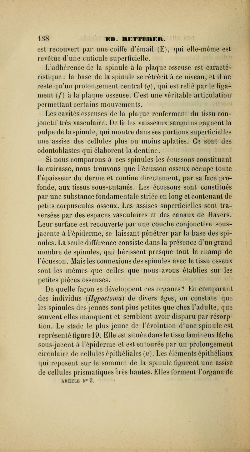 est recouvert par une coiiïe d'émail (E), qui elle-même est revôLue d'une cuticule superficielle. L'adhérence de la spinule à la plaque osseuse est caracté- ristique : la base de la spinule se rétrécit à ce niveau, et il ne reste qu'un prolongement central (7), qui est relié par le liga- ment (/■) à la plaque osseuse. C'est une véritable articulation permettant certains mouvements. Les cavités osseuses de la plaque renferment du tissu con- jonctif très vasculaire. De là les vaisseaux sanguins gagnent la pulpe de la spinule, qui montre dans ses portions superficielles une assise des cellules plus ou moins aplaties. Ce sont des odontoblastes qui élaborent la dentine. Si nous comparons à ces spinules les écussons constituant la cuirasse, nous trouvons que l'écusson osseux occupe toute l'épaisseur du derme et confine directement, par sa face pro- fonde, aux tissus sous-cutanés. Les écussons sont constitués par une substance fondamentale striée en long et contenant de petits corpuscules osseux. Les assises superficielles sont tra- versées par des espaces vasculaires et des canaux de Havers. Leur surface est recouverte par une couche conjonctive sous- jacente à l'épiderme, se laissant pénétrer par la base des spi- nules. La seule différence consiste dans la présence d'un grand nombre de spinules, qui hérissent presque tout le champ de l'écusson. Mais les connexions des spinules avec le tissu osseux sont les mêmes que celles que nous avons établies sur les petites pièces osseuses. De quelle façon se développent ces organes? En comparant des individus {Hyposloma) de divers âges, on constate que les spinules des jeunes sont plus petites que chez l'adulte, que souvent elles manquent et semblent avoir disparu par résorp- tion. Le stade le plus jeune de l'évolution d'une spinule est représenté figurel9. Elle est située dans le tissu lamineux lâche sous-jacent à l'épiderme et est entourée par un prolongement circulaire de cellulesépithéliales(«). Les éléments épithéliaux qui reposent sur le sommet de la spinule figurent une assise de cellules prismatiques très hautes. Elles forment l'organe de