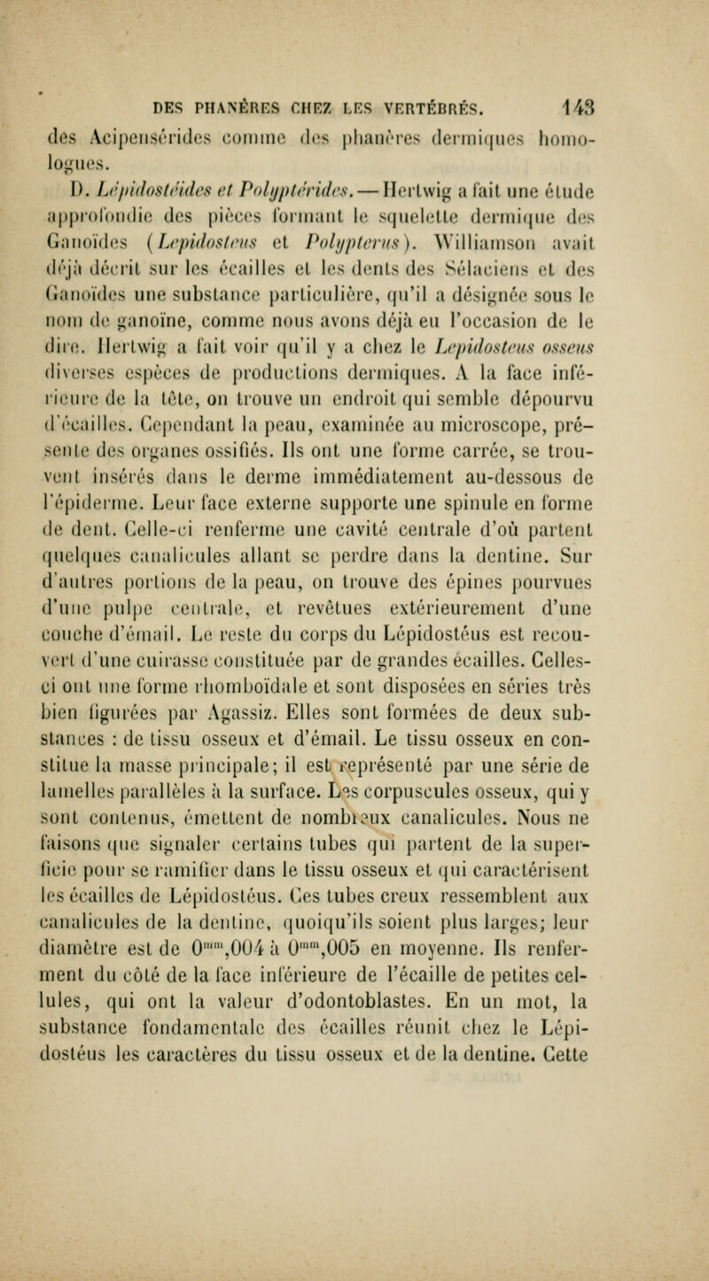 des Acipeiisrrides coiiiino dt^s plianri'es deiini(|urvs homo- logues. D. Ij'itidosli'ldes et Poluptéridcs. — Ilerlwig a lait une élude ap|)r(tr(ni(lie des pièces roniiant le squelette dermique des Gaiioïd(3S {Li'pidostcus et PoltjpUn'Hs). Williamsou avait déjà décrit sur les écailles cl les dcnls des Sélaciens (!t d(îs (Janoïdes une substance particulière, (pi'il a désignée sous le nom (le ganoïne, comme nous avons déjà eu l'occasion de le diiiî. ilerlwig a fait voir qu'il y a chez le Lepidostcus osseus diverses espèces de productions dermiques. A la face infé- rieure de la tète, on trouve un endroit qui semble dépourvu d'écaillés. Cependant la peau, examinée au microscope, pré- senle des oiganes ossifiés. Ils ont une forme carrée, se trou- vent insérés dans le derme immédiatement au-dessous de l'épiderme. Leur face externe supporte une spinule en forme de dent. Celle-ci renferme une cavité centrale d'où parlent quelques caiialicules allant se perdre dans la dentine. Sur d'autres portions de la peau, on trouve des épines pourvues d'une pulpe centrale, et revêtues extérieurement d'une couche d'émail. Le reste du corps du Lépidostéus est recou- vert d'une cuirasse constituée par de grandes écailles. Celles- ci ont nue l'orme rhomboïdale et sont disposées en séries très bien ligurées par Agassiz. Elles sont formées de deux sub- stances : de lissu osseux et d'émail. Le tissu osseux en con- stitue la masse principale; il est représenté par une série de lamelles paiallèles à la surface. L^.s corpuscules osseux, qui y sont contenus, émettent de nombi?ux canalicules. Nous ne faisons (pn^ signaler certains tubes qui partent de la super- ficie pour se ramilier dans le tissu osseux et qui caractérisent les écailles de Lépidostéus. Ces tubes creux ressemblent aux canalicules de la denline, quoiqu'ils soient plus larges; leur diamètre est de 0,004 à 0'',005 en moyenne. Ils renfer- ment du côté de la l'ace inférieure de l'écaillé de petites cel- lules, qui ont la valeur d'odontoblastes. En un mot, la substance fondamentale des écailles réunit chez le Lépi- dostéus les caractères du tissu osseux et de la dentine. Cette