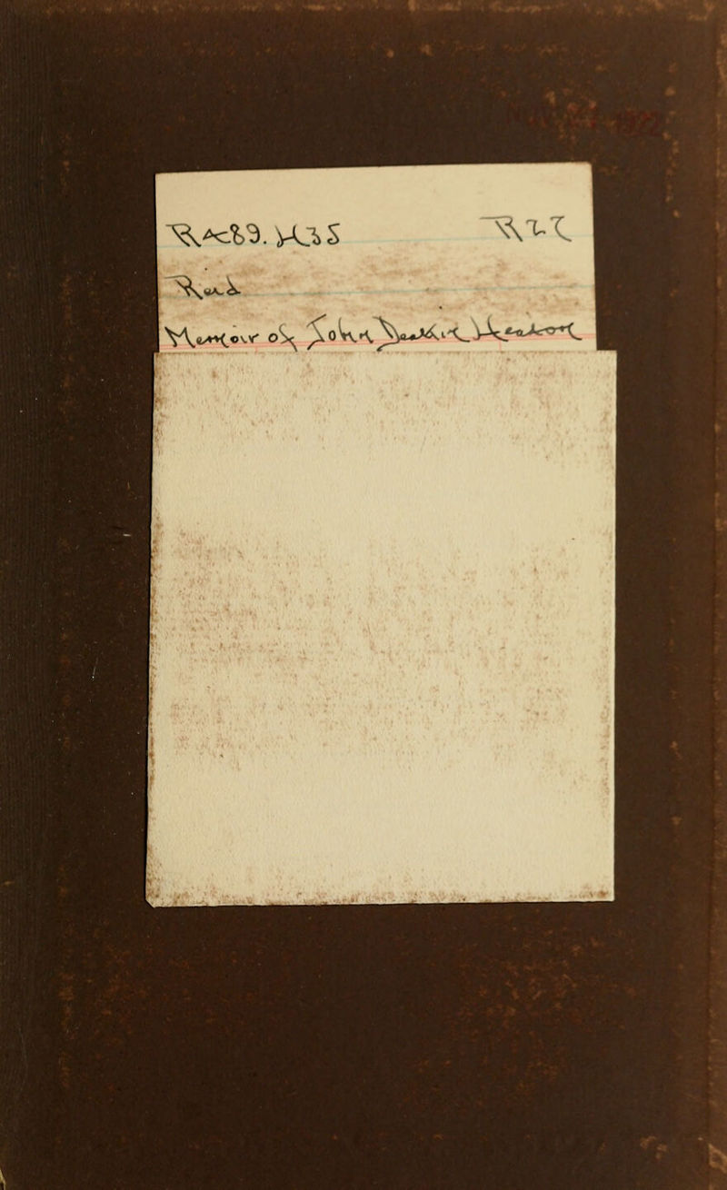 p^>*»».-;«W^..^,' \,;^'.^^