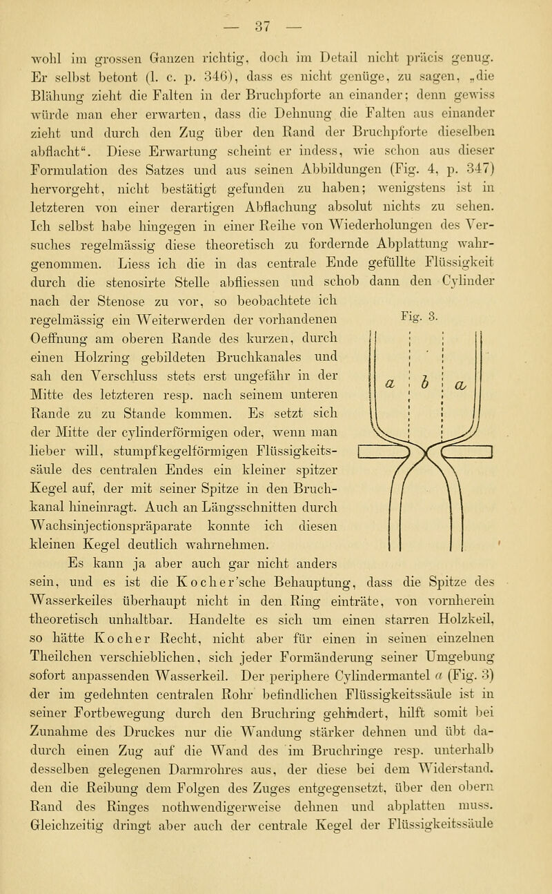 FiR. 3. wohl im grossen Ganzen richtig, doch im Detail nicht präcis genug. Er selbst betont (1. c. p. 346), dass es nicht genüge, zu sagen, „die Blähung zieht die Falten in der Bruchpforte an einander; denn gewiss würde man eher erwarten, dass die Dehnung die Falten aus einander zieht und durch den Zug über den Rand der Bruchpforte dieselben abflacht. Diese Erwartung scheint er indess, wie schon aus dieser Formulation des Satzes und aus seinen Abbildungen (Fig. 4, p. 347) hervorgeht, nicht bestätigt gefunden zu haben; wenigstens ist in letzteren von einer derartigen Abflachung absolut nichts zu sehen. Ich selbst habe hingegen in einer Reihe von Wiederholungen des Ver- suches regelmässig diese theoretisch zu fordernde Abplattung wahr- genommen. Liess ich die in das centrale Ende gefüllte Flüssigkeit durch die stenosirte Stelle abfliessen und schob dann den Cjlinder nach der Stenose zu vor, so beobachtete ich regelmässig ein Weiterwerden der vorhandenen Oeffnung am oberen Rande des kurzen, durch einen Holzring gebildeten Bruchkanales und sah den Verschluss stets erst ungefähr in der Mitte des letzteren resp. nach seinem unteren Rande zu zu Staude kommen. Es setzt sich der Mitte der cylinderförmigen oder, wenn man lieber will, stumpf kegelförmigen Flüssigkeits- säule des centralen Endes ein kleiner spitzer Kegel auf, der mit seiner Spitze in den Bruch- kanal hineinragt. Auch an Längsschnitten durch Wachsinjectionspräparate konnte ich diesen Meinen Kegel deutlich wahrnehmen. Es kann ja aber auch gar nicht anders sein, und es ist die Koch er'sehe Behauptung, dass die Spitze des Wasserkeiles überhaupt nicht in den Ring einträte, von vornherein theoretisch unhaltbar. Handelte es sich um einen starren Holzkeil, so hätte Kocher Recht, nicht aber für einen in seinen einzelnen Theilchen verschieblichen, sich jeder Formänderung seiner Umgebung sofort anpassenden Wasserkeil. Der periphere Cylindermantel a (Fig. 3) der im gedehnten centralen Rohr befindlichen Flüssigkeitssäule ist in seiner Fortbewegung durch den Bruchring gehindert, hilft somit bei Zunahme des Druckes nur die Wandung stärker dehnen und übt da- durch einen Zug auf die Wand des im Bruchringe resp. unterhalb desselben gelegenen Darmrohres aus, der diese bei dem Widerstand, den die Reibung dem Folgen des Zuges entgegensetzt, über den obern Rand des Ringes nothwendigerweise dehnen und abplatten muss. Gleichzeitig drino-t aber auch der centrale Keo-el der Flüssigkeitssäule