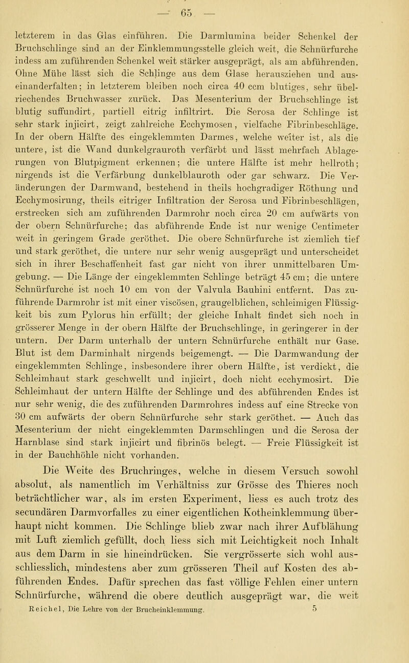 letzterem in das Glas einführen. Die Darmlumina beider Schenkel der Bruchschlinge sind an der Elnklemmungsstelle gleich weit, die Schnürfurche indess am zuführenden Schenkel weit stärker ausgeprägt, als am abführenden. Ohne Mühe lässt sich die Schlinge aus dem Glase herausziehen und aus- einanderfalten; in letzterem bleiben noch circa 40 ccm blutiges, sehr übel- riechendes Bruchwasser zurück. Das Mesenterium der Bruchschlinge ist blutig suffundii't, partiell eitrig infiltrirt. Die Serosa der Schlinge ist sehr stark injicirt, zeigt zahlreiche Ecchymosen, vielfache Fibrinbeschläge. In der obern Hälfte des eingeklemmten Darmes, welche weiter ist, als die untere, ist die Wand dunkelgrauroth verfärbt und lässt mehrfach Ablage- rungen von Blutpigment erkennen; die untere Hälfte ist mehr hellroth; nirgends ist die Verfäi'bung dunkelblauroth oder gar schwarz. Die Ver- änderungen der Darmwand, bestehend in theils hochgradiger Eöthung und Ecchymosirung, theils eitriger Infiltration der Serosa und Fibrinbeschlägen, erstrecken sich am zuführenden Darmrohr noch circa 20 cm aufwärts von der obern Schnürfurche; das abführende Ende ist nur wenige Centimeter weit in geringem Grade geröthet. Die obere Schnürfurche ist ziemlich tief und stark geröthet, die untere nur sehr wenig ausgeprägt und unterscheidet sich in ihrer Beschaffenheit fast gar nicht von ihrer unmittelbaren Um- gebung. — Die Länge der eingeklemmten Schlinge beträgt 45 cm; die untere Schnürfurche ist noch 10 cm von der Valvula Bauhini entfernt. Das zu- führende Darmrohr ist mit einer viscösen, graugelblichen, schleimigen Flüssig- keit bis zum Pylorus hin erfüllt; der gleiche Inhalt findet sich noch in grösserer Menge in der obern Hälfte der Bruchschlinge, in geringerer in der untern. Der Dai-m unterhalb der untern Schnürfurche enthält nur Gase. Blut ist dem Darminhalt nirgends beigemengt. — Die Darmwandung der eingeklemmten Schlinge, insbesondere ihrer obern Hälfte, ist verdickt, die Schleimhaut stark geschwellt und injicirt, doch nicht ecchymosirt. Die Schleimhaut der untern Hälfte der Schlinge und des abführenden Endes ist nur sehr wenig, die des zuführenden Darmrohres indess auf eine Strecke von 30 cm aufwärts der obern Schnürfurche sehr stark geröthet. — Auch das Mesenterium der nicht eingeklemmten Darm schlingen und die Serosa der Harnblase sind stark injicirt und fibrinös belegt. — Freie Flüssigkeit ist in der Bauchhöhle nicht vorhanden. Die Weite des Brucliringes, welche in diesem Versuch sowohl absolut, als namentlich im Verhältniss zur Grösse des Thieres noch beträchtlicher war, als im ersten Experiment, Hess es auch trotz des secundären Darmvorfalles zu einer eigentlichen Kotheinklemmung über- haupt nicht kommen. Die Schlinge blieb zwar nach ihrer Aufblähung mit Luft ziemlich gefüllt, doch liess sich mit Leichtigkeit noch Inhalt aus dem Darm in sie hineindrücken. Sie vergrösserte sich wohl aus- schliesslich, mindestens aber zum grösseren Theil auf Kosten des ab- führenden Endes. Dafür sprechen das fast völlige Fehlen einer untern Schnürfurche, während die obere deutlich ausgeprägt war, die weit Reichel, Die Lehre von der Brucheinklemmung. 5