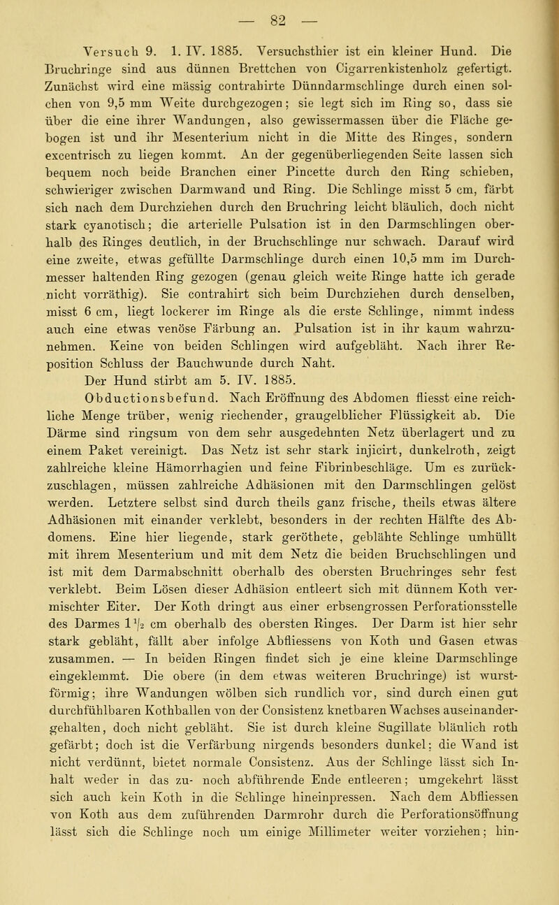 Versuch 9. 1. IV. 1885. Versuchsthiex' ist ein kleiner Hund. Die Brucliringe sind aus dünnen Brettchen von Cigarrenkistenliolz gefertigt. Zunächst wird eine massig contrahirte Dünndai'mschlinge durch einen sol- chen von 9,5 mm Weite durchgezogen; sie legt sich im Ring so, dass sie über die eine ihrer Wandungen, also gewissermassen über die Fläche ge- bogen ist und ihr Mesenterium nicht in die Mitte des Ringes, sondern excentrisch zu liegen kommt. An der gegenüberliegenden Seite lassen sich bequem noch beide Branchen einer Pincette durch den Ring schieben, schwieriger zwischen Darmwand und Ring. Die Schlinge misst 5 cm, färbt sich nach dem Durchziehen durch den Bruchring leicht bläulich, doch nicht stark cyanotisch; die arterielle Pulsation ist in den Darmschlingen ober- halb des Ringes deutlich, in der Bruchschlinge nur schwach. Darauf wird eine zweite, etwas gefüllte Darmschlinge durch einen 10,5 mm im Durch- messer haltenden Ring gezogen (genau gleich weite Ringe hatte ich gerade nicht vorräthig). Sie contrahirt sich beim Durchziehen durch denselben, misst 6 cm, liegt lockerer im Ringe als die erste Schlinge, nimmt indess auch eine etwas venöse Färbung an. Pulsation ist in ihr kaum wahrzu- nehmen. Keine von beiden Schlingen wird aufgebläht. Nach ihrer Re- position Schluss der Bauchwunde durch Naht. Der Hund stirbt am 5. IV. 1885. Obductionsbefund. Nach Eröffnung des Abdomen fliesst eine reich- liche Menge trüber, wenig riechender, graugelblicher Flüssigkeit ab. Die Däi'me sind ringsum von dem sehr ausgedehnten Netz überlagert und zu einem Paket vereinigt. Das Netz ist sehr stark injicirt, dunkelroth, zeigt zahlreiche kleine Hämorrhagien und feine Fibrinbeschläge. Um es zurück- zuschlagen, müssen zahlreiche Adhäsionen mit den Darmschlingen gelöst werden. Letztere selbst sind durch theils ganz frische, theils etwas ältere Adhäsionen mit einander verklebt, besonders in der rechten Hälfte des Ab- domens. Eine hier liegende, stark geröthete, geblähte Schlinge umhüllt mit ihrem Mesenterium und mit dem Netz die beiden Bruchschlingen und ist mit dem Darmabschnitt oberhalb des obersten Bruchringes sehr fest verklebt. Beim Lösen dieser Adhäsion entleert sich mit dünnem Koth ver- mischter Eiter. Der Koth di'ingt aus einer erbsengrossen Perforationsstelle des Darmes 1 ^J2 cm oberhalb des obersten Ringes. Der Darm ist hier sehr stark gebläht, fällt aber infolge Abfliessens von Koth und Gasen etwas zusammen. — In beiden Ringen findet sich je eine kleine Darmschlinge eingeklemmt. Die obere (in dem etwas weiteren Bruchringe) ist wurst- förmig; ihre Wandungen wölben sich rundlich vor, sind durch einen gut durchfühlbaren Kothballen von der Consistenz knetbaren Wachses auseinander- gehalten, doch nicht gebläht. Sie ist durch kleine Sugillate bläulich roth gefärbt; doch ist die Verfärbung nirgends besonders dunkel; die Wand ist nicht verdünnt, bietet normale Consistenz. Aus der Schlinge lässt sich In- halt weder in das zu- noch abführende Ende entleei'en; umgekehrt lässt sich auch kein Koth in die Schlinge hineinpressen. Nach dem Abfliessen von Koth aus dem zuführenden Darmrohr durch die Perforationsölfnung lässt sich die Schlinge noch um einige Millimeter weiter vorziehen; hin-