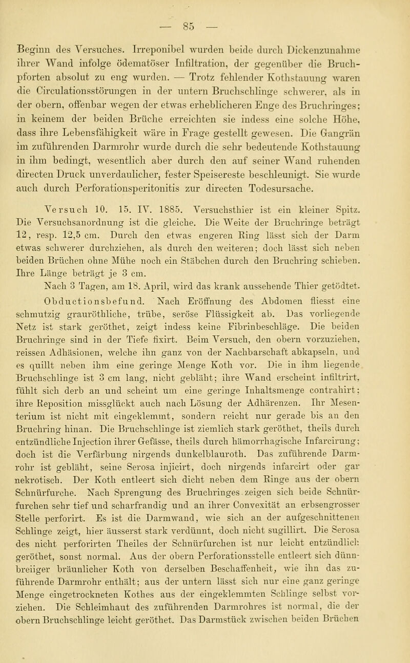 Beginn des ^^ersiiches. Irreponibel wurden beide durch Dickenzunahme ihrer Wand infolge ödematöser Infiltration, der gegenüber die Bruch- pforten absolut zu eng wurden. — Trotz fehlender Kothstauung waren die Circulationsstörungen in der untern Bruchschlinge schwerer, als in der obern, offenbar wegen der etwas erheblicheren Enge des Bruchringes; in keinem der beiden Brüche erreichten sie indess eine solche Höhe, dass ihre Lebensfähigkeit wäre in Frage gestellt gewesen. Die Gangrän im zufühi-enden Darmrohr wurde durch die sehr bedeutende Kothstauung in ihm bedingt, wesentlich aber durch den auf seiner Wand ruhenden dü-ecten Drucli unverdaulicher, fester Speisereste beschleunigt. Sie wm'de auch durch Perforatiousperitonitis zur directen Todesursache. Versuch 10. 15. lY. 1885. Versuchsthier ist ein kleiner Spitz. Die Yersuchsanordnung ist die gleiche. Die Weite der Bruchringe beträgt 12, resp. 12,5 cm. Durch den etwas engeren Ring lässt sich der Darm etwas schwerer durchziehen, als durch den weiteren; doch lässt sich neben beiden Brüchen ohne Mühe noch ein Stäbchen durch den Bruchring schieben. Ihre Länge beträgt je 3 cm. Nach 3 Tagen, am 18. April, wird das krank aussehende Thier getödtet. Obductionsbefund. Nach Eröffnung des Abdomen fliesst eine schmutzig grauröthliche, trübe, seröse Flüssigkeit ab. Das voi'liegende Netz ist stark geröthet, zeigt indess keine Fibrinbeschläge. Die beiden Bruchringe sind in der Tiefe fixirt. Beim Versuch, den obern vorzuziehen, reissen Adhäsionen, welche ihn ganz von der Nachbarschaft abkapseln, und es quillt neben ihm eine geringe Menge Koth vor. Die in ihm liegende Bruchschlinge ist 3 cm lang, nicht gebläht; ihre Wand erscheint infiltrirt, fühlt sich derb an und scheint um eine geringe luhaltsmenge contrahirt; ihre Keposition missglückt auch nach Lösung der Adhärenzen. Ihr Mesen- terium ist nicht mit eingeklemmt, sondern reicht nur gerade bis an den Bruchring hinan. Die Bruchschlinge ist ziemlich stark geröthet, theils durch entzündliche Injection ihrer Gefässe, theils durch hämorrhagische Infarcirung; doch ist die Verfärbung nirgends dunkelblauroth. Das zuführende Darm- rohr ist gebläht, seine Serosa injicirt, doch nirgends infarcirt oder gar nekrotisch. Der Koth entleert sich dicht neben dem Ringe aus der obern Schnürfurche. Nach Sprengung des Bruchringes zeigen sich beide Schnür- furchen sehr tief und scharfrandig und an ihrer Convexität an erbsengrosser Stelle perforirt. Es ist die Darmwand, wie sich an der aufgeschnitteneu Schlinge zeigt, hier äusserst stark verdünnt, doch nicht sugillirt. Die Serosa des nicht perforirten Theiles der Schnürfurchen ist nur leicht entzündlicl: geröthet, sonst noi-mal. Aus der obern Perforationsstelle entleert sich dünn- breiiger bräunlicher Koth von derselben Beschaffenheit, wie ihn das zu- führende Darmrohr enthält; aus der untern lässt sich nur eine ganz geringe Menge eingetrockneten Kothes aus der eingeklemmten Schlinge selbst vor- ziehen. Die Schleimhallt des zuführenden Darmrohres ist normal, die der obern Bruchschlinge leicht geröthet. Das Darmstück zwischen beiden Brüchen