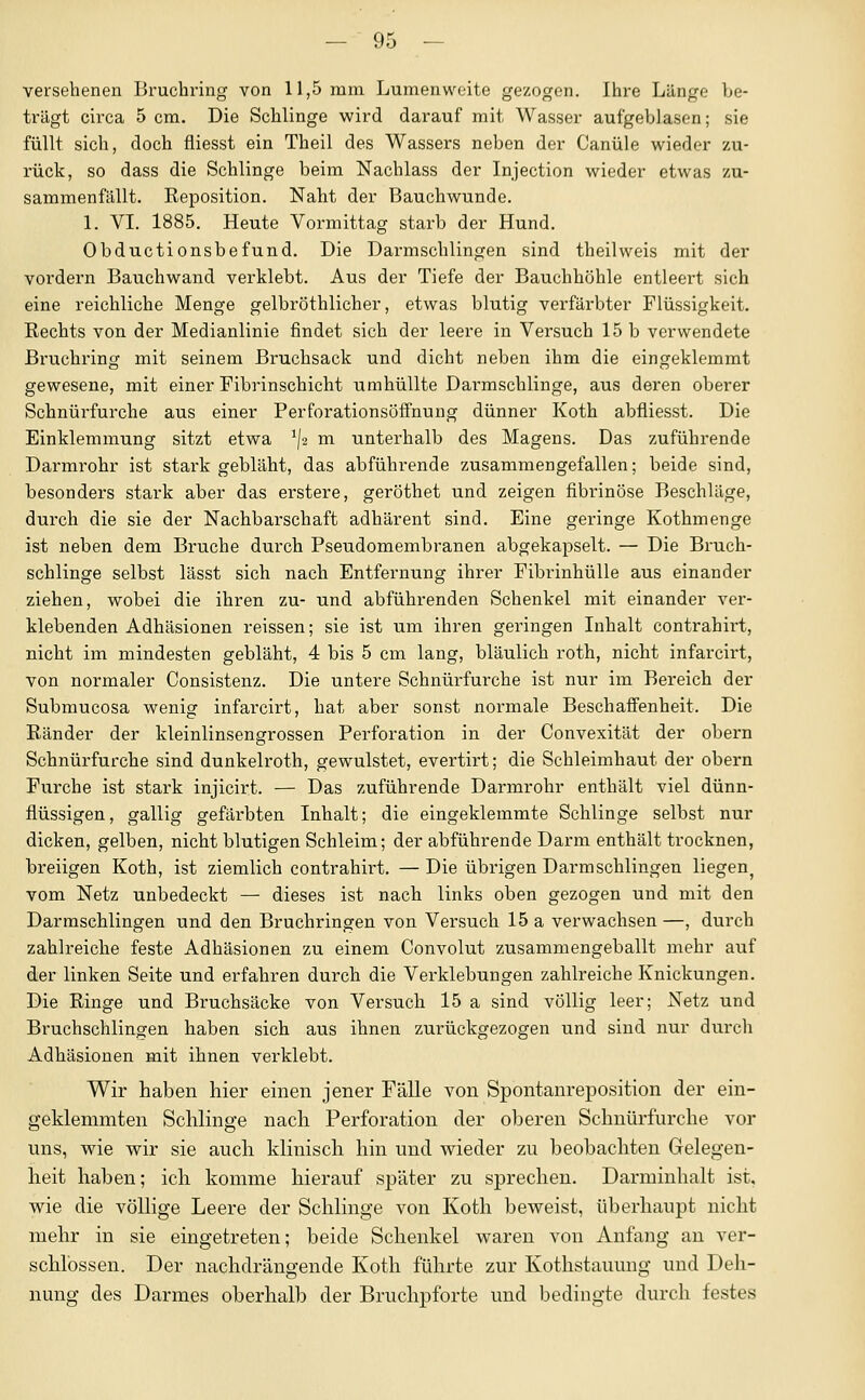 versebenen Bruchring von 11,5 mm Lumenweite gezogen. Ihre Länge be- trägt circa 5 cm. Die Schlinge wird darauf mit Wasser aufgeblasen; sie füllt sich, doch fliesst ein Theil des Wassers neben der Canüle wieder zu- rück, so dass die Schlinge beim Nachlass der Injection wieder etwas zu- sammenfällt. Reposition. Naht der Bauchwunde. 1. VI. 1885. Heute Vormittag starb der Hund. Obductionsbefund. Die Darmschlingen sind theilweis mit der vordem Bauchwand verklebt. Aus der Tiefe der Bauchhöhle entleert sich eine reichliche Menge gelbröthlicher, etwas blutig verfärbter Flüssigkeit. Rechts von der Medianlinie findet sich der leere in Versuch 15 b verwendete Bruchring mit seinem Bruchsack und dicht neben ihm die eingeklemmt gewesene, mit einer Fibrinschicht umhüllte Darmschlinge, aus deren oberer Schnürfurche aus einer PerforationsöflFnung dünner Koth abfliesst. Die Einklemmung sitzt etwa ^J2 m unterhalb des Magens. Das zuführende Darmrohr ist stark gebläht, das abführende zusammengefallen; beide sind, besonders stai-k aber das erstere, geröthet und zeigen fibrinöse Beschläge, durch die sie der Nachbarschaft adhärent sind. Eine geringe Kothmenge ist neben dem Bruche durch Pseudomembranen abgekapselt. — Die Bruch- schlinge selbst lässt sich nach Entfernung ihrer Fibrinhülle aus einander ziehen, wobei die ihren zu- und abführenden Schenkel mit einander ver- klebenden Adhäsionen reissen; sie ist um ihren geringen Inhalt contrahirt, nicht im mindesten gebläht, 4 bis 5 cm lang, bläulich roth, nicht infarcirt, von normaler Consistenz. Die untere Schnürfurche ist nur im Bereich der Submucosa wenig infarcirt, hat aber sonst normale Beschaffenheit. Die Ränder der kleinlinsengrossen Perforation in der Convexität der obei'n Schnürfurche sind dunkelroth, gewulstet, evertirt; die Schleimhaut der obern Furche ist stark injicirt. — Das zuführende Darmrohr enthält viel dünn- flüssigen , gallig gefäx'bten Inhalt; die eingeklemmte Schlinge selbst nur dicken, gelben, nicht blutigen Schleim; der abführende Darm enthält trocknen, breiigen Koth, ist ziemlich contrahirt. — Die übrigen Darmschlingen liegen^ vom Netz unbedeckt — dieses ist nach links oben gezogen und mit den Darmschlingen und den Bruchringen von Versuch 15 a verwachsen —, durch zahlreiche feste Adhäsionen zu einem Convolut zusammengeballt mehr auf der linken Seite und erfahren durch die Verklebungen zahlreiche Knickungen. Die Ringe und Bruchsäcke von Versuch 15 a sind völlig leer; Netz und Bruchschlingen haben sich aus ihnen zurückgezogen und sind nur durch Adhäsionen mit ihnen verklebt. Wir haben hier einen jener Fälle von Spontanreposition der ein- geklemmten Schlinge nach Perforation der oberen Schnürfurche vor uns, wie wir sie auch klinisch hin und wieder zu beobachten Gelegen- heit haben; ich komme hierauf später zu sprechen. Darminhalt ist, wie die völlige Leere der Schlinge von Koth beweist, überhaupt nicht mehr in sie eingetreten; beide Schenkel waren von Anfang an ver- schlössen. Der nachdrängende Koth führte zur Kothstauung und Deh- nung des Darmes oberhalb der Bruchpforte und bedingte durch festes