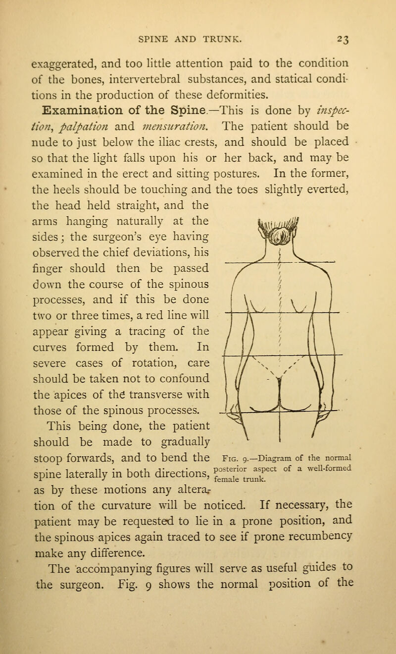 exaggerated, and too little attention paid to the condition of the bones, intervertebral substances, and statical condi- tions in the production of these deformities. Examination of the Spine—This is done by inspec- tion, palpatio?i and mensuration. The patient should be nude to just below the iliac crests, and should be placed so that the light falls upon his or her back, and may be examined in the erect and sitting postures. In the former, the heels should be touching and the toes slightly everted, the head held straight, and the arms hanging naturally at the sides; the surgeon's eye having observed the chief deviations, his finger should then be passed down the course of the spinous processes, and if this be done two or three times, a red line will appear giving a tracing of the curves formed by them. In severe cases of rotation, care should be taken not to confound the apices of the transverse with those of the spinous processes. This being done, the patient should be made to gradually StOOp forwards, and tO bend the Fig. 9.—Diagram of the normal 1 z. 11 u~4-U A;~~^4-;^„r, posterior aspect of a well-formed spine laterally in both directions, ^ trunkp as by these motions any altera- tion of the curvature will be noticed. If necessary, the patient may be requested to lie in a prone position, and the spinous apices again traced to see if prone recumbency make any difference. The accompanying figures will serve as useful guides to the surgeon. Fig. 9 shows the normal position of the