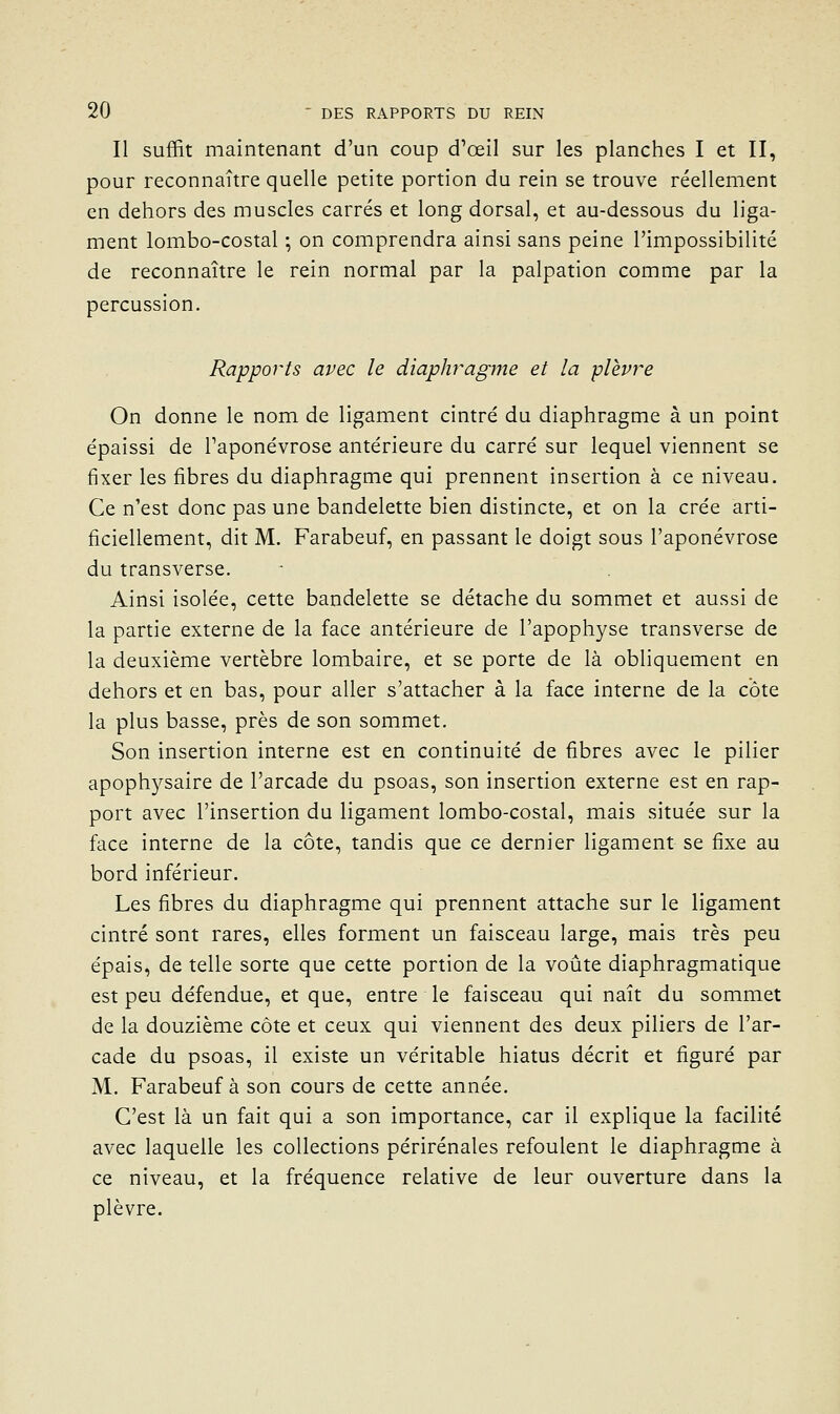 Il suffit maintenant d'un coup d^œil sur les planches I et II, pour reconnaître quelle petite portion du rein se trouve réellement en dehors des muscles carrés et long dorsal, et au-dessous du liga- ment lombo-costal ; on comprendra ainsi sans peine l'impossibilité de reconnaître le rein normal par la palpation comme par la percussion. Rapports avec le diaphragme et la plèvre On donne le nom de ligament cintré du diaphragme à un point épaissi de Taponévrose antérieure du carré sur lequel viennent se fixer les fibres du diaphragme qui prennent insertion à ce niveau. Ce n'est donc pas une bandelette bien distincte, et on la crée arti- ficiellement, dit M. Farabeuf, en passant le doigt sous l'aponévrose du transverse. Ainsi isolée, cette bandelette se détache du sommet et aussi de la partie externe de la face antérieure de l'apophyse transverse de la deuxième vertèbre lombaire, et se porte de là obliquement en dehors et en bas, pour aller s'attacher à la face interne de la côte la plus basse, près de son sommet. Son insertion interne est en continuité de fibres avec le pilier apophysaire de l'arcade du psoas, son insertion externe est en rap- port avec l'insertion du ligament lombo-costal, mais située sur la face interne de la côte, tandis que ce dernier ligament se fixe au bord inférieur. Les fibres du diaphragme qui prennent attache sur le ligament cintré sont rares, elles forment un faisceau large, mais très peu épais, de telle sorte que cette portion de la voûte diaphragmatique est peu défendue, et que, entre le faisceau qui naît du sommet de la douzième côte et ceux qui viennent des deux piliers de l'ar- cade du psoas, il existe un véritable hiatus décrit et figuré par M. Farabeuf à son cours de cette année. C'est là un fait qui a son importance, car il explique la facilité avec laquelle les collections périrénales refoulent le diaphragme à ce niveau, et la fréquence relative de leur ouverture dans la plèvre.