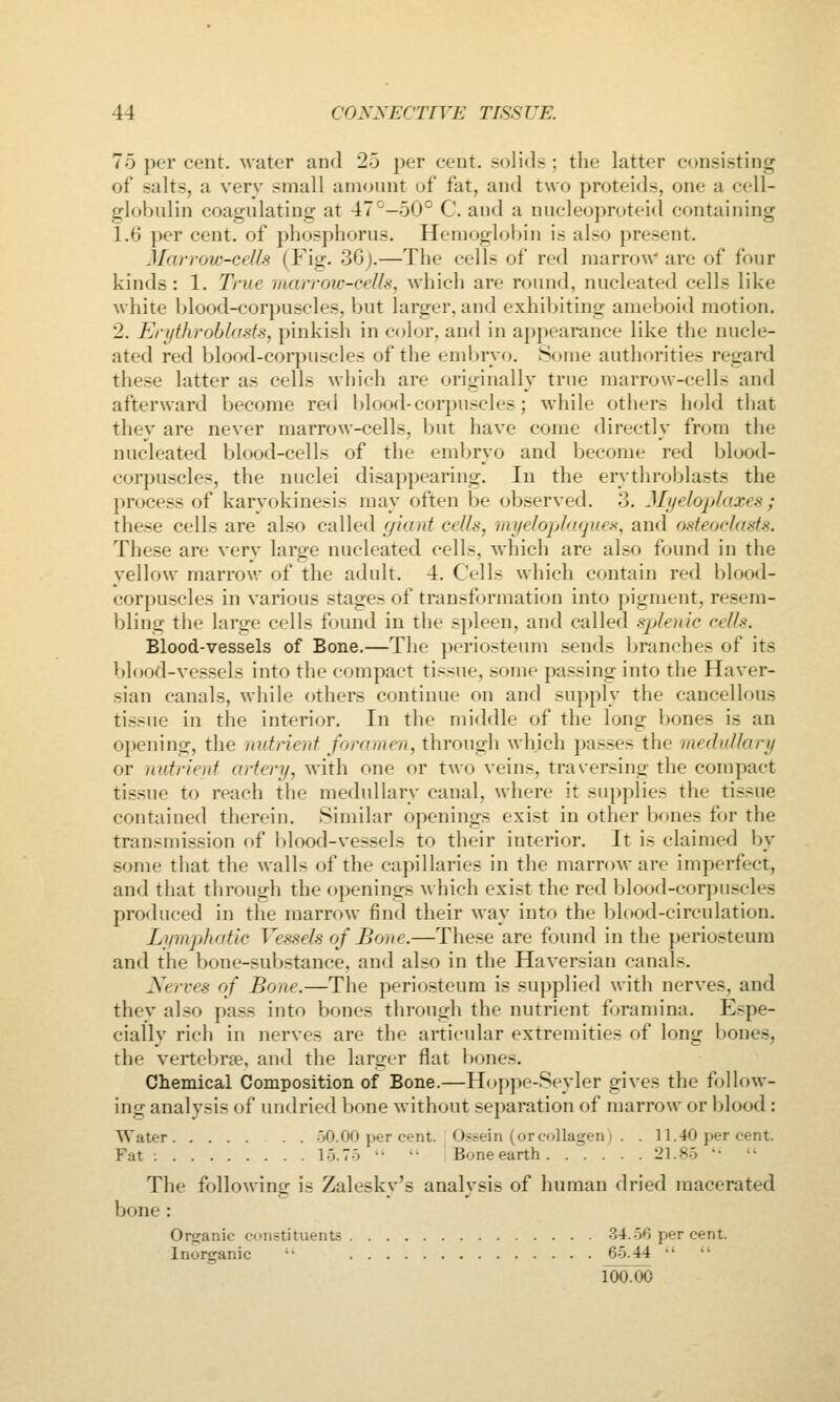 75 per cent, water and 2-3 per cent, solids; the latter consisting of salts, a very small amount of fat, and two proteids, one a cell- globulin coagulating at 47^^-50° C. and a nucleoproteid containing 1.6 per cent, of pliosphorus. Hemoglobin is also present. JIarrow-cel/s (Fig. 36j.—The cells of red marrow are of four kinds: 1. True laarroic-celh, which are round, nucleated cells like white blood-corpuscles, but larger, and exhibiting ameboid motion. 2. Erythrohlosts, pinkish in color, and in appearance like the nucle- ated red blood-corpuscles of the embryo. Some authorities regard these latter as cells which are originally true marrow-cells and afterward become red ijlood-corpuscles; while otiiers hold that they are never marrow-cells, l)ut have come directly from the nucleated blood-cells of the embryo and become red blood- corpuscles, the nuclei disappearing. In the erythroblasts the process of karvokinesis may often be observed. 3. Myeloplaxes; these cells are also called gkint cells, myeloplaquea, and osteoclasts. These are very large nucleated cells, which are also found in the vellow marrow of the adult. 4. Cells which contain red blood- corpuscles in various stages of transformation into pigment, resem- bling the large cells found in the spleen, and called splenic cells. Blood-vessels of Bone.—The periosteum sends branches of its blood-vessels into the compact tissue, some passing into the Haver- sian canals, while others continue on and supply the cancellous tissue in the interior. In the middle of the long Ijones is an opening, the nutrient foramen, through which passes the medullary or nutrient artery, with one or two veins, traversing the compact tissue to reach the medullary canal, where it supplies the tissue contained therein. Similar openings exist in other bones for the transmission of l)lood-vessels to their interior. It is claimed by some that the walls of the capillaries in the marrow are imperfect, and that through the openings which exist the red blood-corpuscles produced in the marrow find their way into the blood-circulation. Lymphatic Vessels of Bone.—These are found in the periosteum and the bone-substance, and also in the Haversian canals. Nerves of Bone.—The periosteum is supplied with nerves, and thev also pass into bones througli the nutrient foramina. Espe- cially rich in nerves are the articular extremities of long l)ones, the vertebrae, and the larger flat bones. Chemical Composition of Bone.—Hoppe-Seyler gives the follow- ing analysis of undried V)one without separation of marrow or blood: Water 50.00 per cent. Ossein (or collagen) . . 11.40 per cent. Fat -. 15.75   Boneearth 21.85   The following is Zalesky's analysis of human dried macerated bone : Organic constituents .34.56 per cent. Inorganic '• 65.44   ioaoo