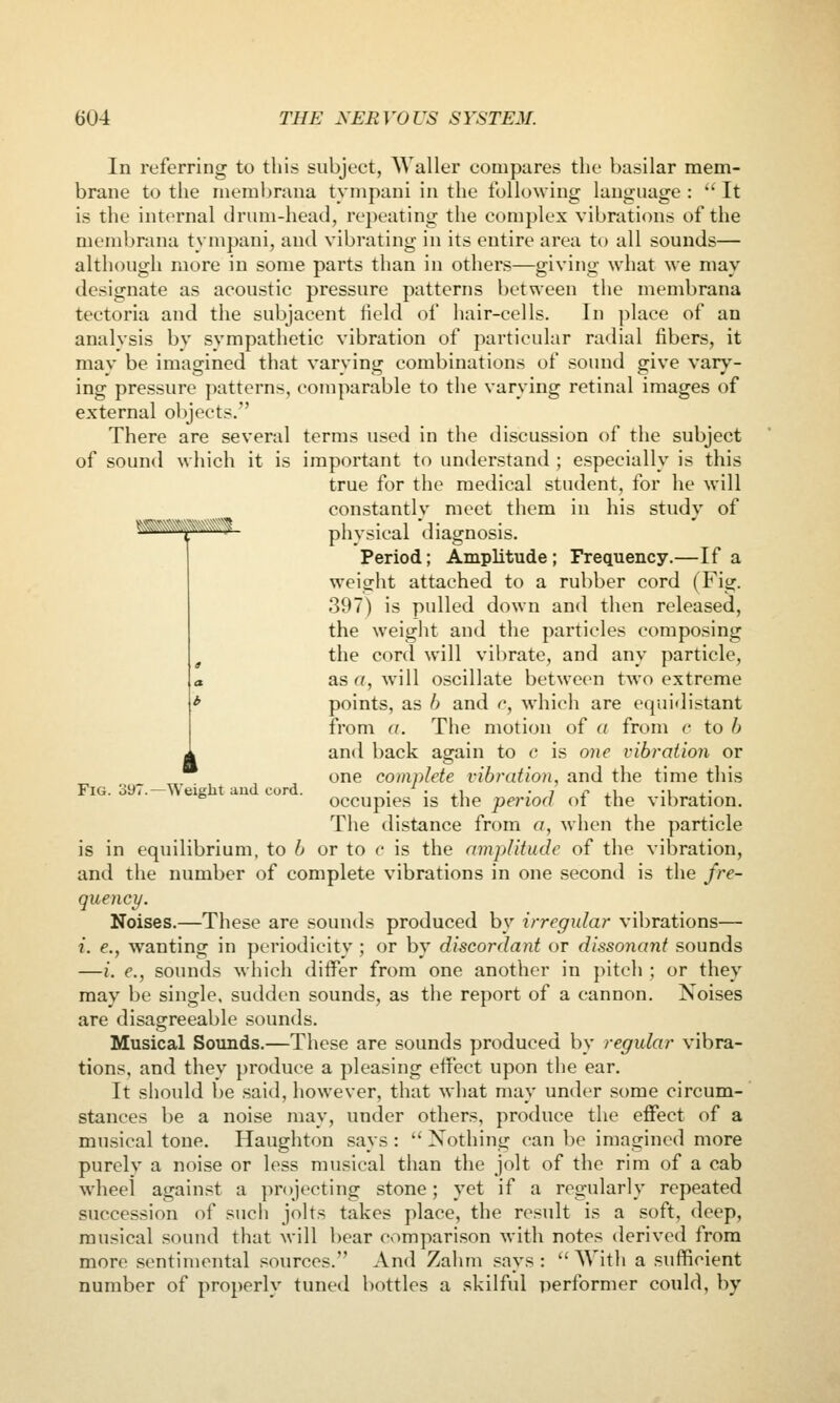 In referring to this subject, Waller compares the basilar mem- brane to the memljrana tympani in the following language :  It is the internal drum-head, re]>eating the complex vibrations of the membrana tympani, and vibrating in its entire area to all sounds— although more in some parts than in others—giving what we may designate as acoustic pressure patterns between the membrana tectoria and the subjacent field of hair-cells. In place of an analysis by sympathetic vibration of particular radial fibers, it may be imagined that varying combinations of sound give vary- ing pressure patterns, comparable to tiie varying retinal images of external objects. There are several terms used in the discussion of the subject of sound which it is important to understand ; especially is this true for the medical student, for he will constantly meet them in his study of physical diagnosis. Period; Amplitude; Frequency.—If a weight attached to a rubber cord (Fig. 397) is pulled down and then released, the weight and the particles composing the cord will vibrate, and any particle, as a, will oscillate between two extreme points, as b and c, which are equidistant from a. The motion of a from c to b and back again to c is one vibratioji or one complete vibration, and the time this Fig. 397.—WeiKlit aud cord. • • .i • i r j.\ •! j.* occupies is the period oi the vibration. The distance from a, when the particle is in equilibrium, to b or to c is the amplitude of the vibration, and the number of complete vibrations in one second is the fre- quency. Noises.—These are sounds produced by irregular vibrations— i. e., wanting in periodicitv ; or by discordant or dissoyiant sounds —i. e., sounds which differ from one another in pitch ; or they may be single, sudden sounds, as the report of a cannon. Noises are disagreeable sounds. Musical Sounds.—These are sounds produced by regular vibra- tions, and thev produce a pleasing effect upon the ear. It should be .said, however, that what may under some circum- stances be a noise may, under others, produce the effect of a musical tone. Haughton says :  Xothing can be imagined more purely a noise or less musical than the jolt of the rim of a cab wheel against a projecting stone; yet if a regularly repeated succession of such jolts takes place, the result is a soft, deep, musical sound that will bear comparison with notes derived from more sentimental sources. And Zahni says: With a sufficient number of properly tuned bottles a skilful performer could, by k