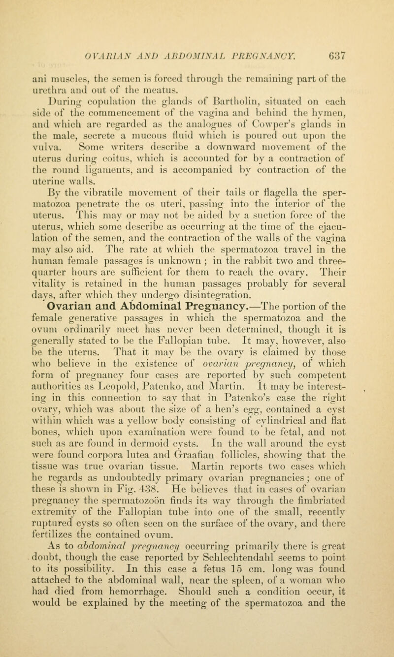 ani muscles, the semen is forced throii<rli the renuiiniiig part of the urethra anil out of the meatus. I)uriu;j; eopuhition the <j:hiii(ls of Bartholin, situated on each side of the commencement of the vai::iua and behind the hymen, and which are regarded as the aiudogues of C-owper's ghmds in the male, secrete a mucous Huid which is poured out upon the vulva. Some writers describe a downward movement of the uterus (hiring coitus, which is accounted for by a contraction of the round ligaments, and is accompanied by contraction of the uterine walls. By the vibratile movement of their tails or flagella the sper- matozoa penetmte the os uteri, passing into the interior of the uterus. This may or may not be aided l)y a suction force of the uterus, which some describe as occurring at the time of the ejacu- lation of the semen, and the contraction of the walls of the vagina may also aid. The rate at which the; spermatozoa travel in the human female passages is unknown ; in the rabbit two and three- quarter hours are sufficient for them to reach the ovary. Their vitality is retained in the human passages probably for several days, after which they undergo disintegration. Ovarian and Abdominal Pregnancy.—The portion of the female generative passages in which the spermatozoa and the ovum ordinarily meet has never been determined, though it is generally stated to be the Fallopian tube. It may, however, also be the uterus. That it may be the ovary is claimed by those who believe in the existence of ovarian 'pregnancy, of which form of pregnancy four cases are reported by such competent authorities as Leopold, Patenko, and Martin. It may be interest- ing in this connection to say that in Patenko's case the right ovary, which was about the size of a hen's e.^g, contained a cyst within which was a yellow body consisting of cylindrical and flat bones, which upon examination were found to be fetal, and not such as are found in dermoid cysts. In the wall around the cyst were found corpora lutea and Graafian follicles, showing that the tissue was true ovarian tissue. Martin reports two cases which he regards as undoubtedly primary ovarian pregnancies; one of these is shown in Fig. 438. He believes that in cases of ovarian pregnancy the spermatozoon finds its way through the fimbriated extremity of the Fallopian tube into one of the small, recently ruptured cysts so often seen on the surface of the ovary, and there fertilizes the contained ovum. As to abdominal pregnancy occurring primarily there is great doubt, though the case reported by Schlechtendahl seems to point to its possibility. In this case a fetus 15 cm. long was found attached to the abdominal wall, near the spleen, of a woman who had died from hemorrhage. Should such a condition occur, it would be explained by the meeting of the spermatozoa and the