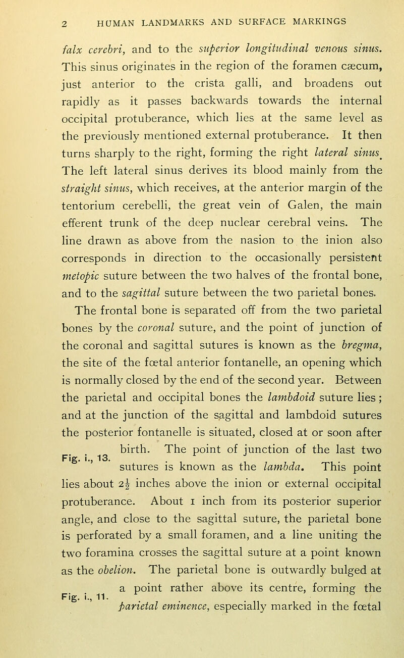 falx cerebri, and to the stiperior longitudinal venous sinus. This sinus originates in the region of the foramen caecum, just anterior to the crista galli, and broadens out rapidly as it passes backwards towards the internal occipital protuberance, which lies at the same level as the previously mentioned external protuberance. It then turns sharply to the right, forming the right lateral sinus^ The left lateral sinus derives its blood mainly from the straight sinus, which receives, at the anterior margin of the tentorium cerebelli, the great vein of Galen, the main efferent trunk of the deep nuclear cerebral veins. The line drawn as above from the nasion to the inion also corresponds in direction to the occasionally persistent metopic suture between the two halves of the frontal bone, and to the sagittal suture between the two parietal bones. The frontal bone is separated off from the two parietal bones by the coronal suture, and the point of junction of the coronal and sagittal sutures is known as the bregma, the site of the foetal anterior fontanelle, an opening which is normally closed by the end of the second year. Between the parietal and occipital bones the lambdoid suture lies; and at the junction of the sagittal and lambdoid sutures the posterior fontanelle is situated, closed at or soon after birth. The point of junction of the last two Fig. i., 13. . ^ •* sutures is known as the lambda. This point lies about 2| inches above the inion or external occipital protuberance. About i inch from its posterior superior angle, and close to the sagittal suture, the parietal bone is perforated by a small foramen, and a line uniting the two foramina crosses the sagittal suture at a point known as the obelion. The parietal bone is outwardly bulged at a point rather above its centre, forming: the Fig. i., 11. , . '^ parietal eminence, especially marked in the foetal