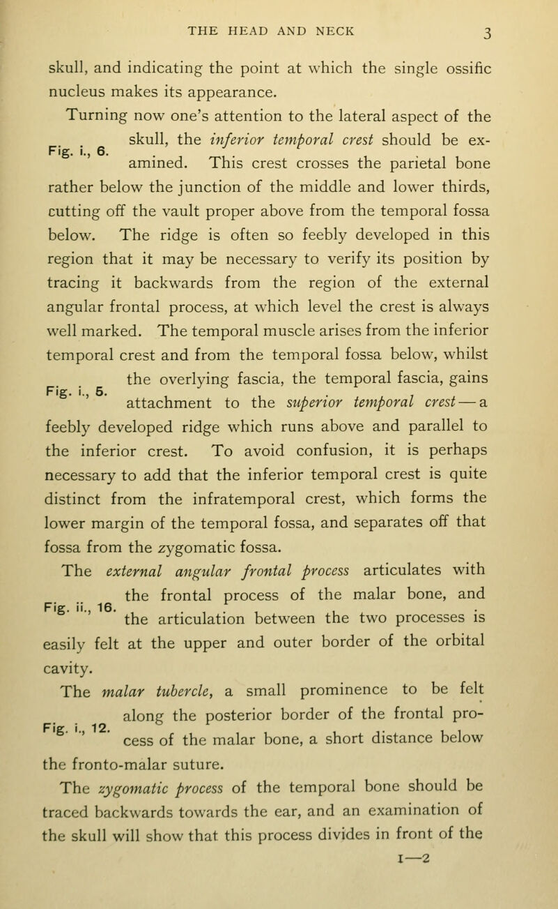 skull, and indicating the point at which the single ossific nucleus makes its appearance. Turning now one's attention to the lateral aspect of the skull, the inferior temporal crest should be ex- Fig, i., 6. . . ^ amined. This crest crosses the parietal bone rather below the junction of the middle and lower thirds, cutting off the vault proper above from the temporal fossa below\ The ridge is often so feebly developed in this region that it may be necessary to verify its position by tracing it backwards from the region of the external angular frontal process, at which level the crest is always well marked. The temporal muscle arises from the inferior temporal crest and from the temporal fossa below, whilst the overlying fascia, the temporal fascia, gains attachment to the superior temporal crest — a feebly developed ridge which runs above and parallel to the inferior crest. To avoid confusion, it is perhaps necessary to add that the inferior temporal crest is quite distinct from the infratemporal crest, which forms the lower margin of the temporal fossa, and separates off that fossa from the zygomatic fossa. The external angular frontal process articulates with the frontal process of the malar bone, and the articulation between the two processes is easily felt at the upper and outer border of the orbital cavity. The malar tubercle, a small prominence to be felt alone: the posterior border of the frontal pro- Fig i 12. ' * cess of the malar bone, a short distance below the fronto-malar suture. The zygomatic process of the temporal bone should be traced backwards towards the ear, and an examination of the skull will show that this process divides in front of the I—2