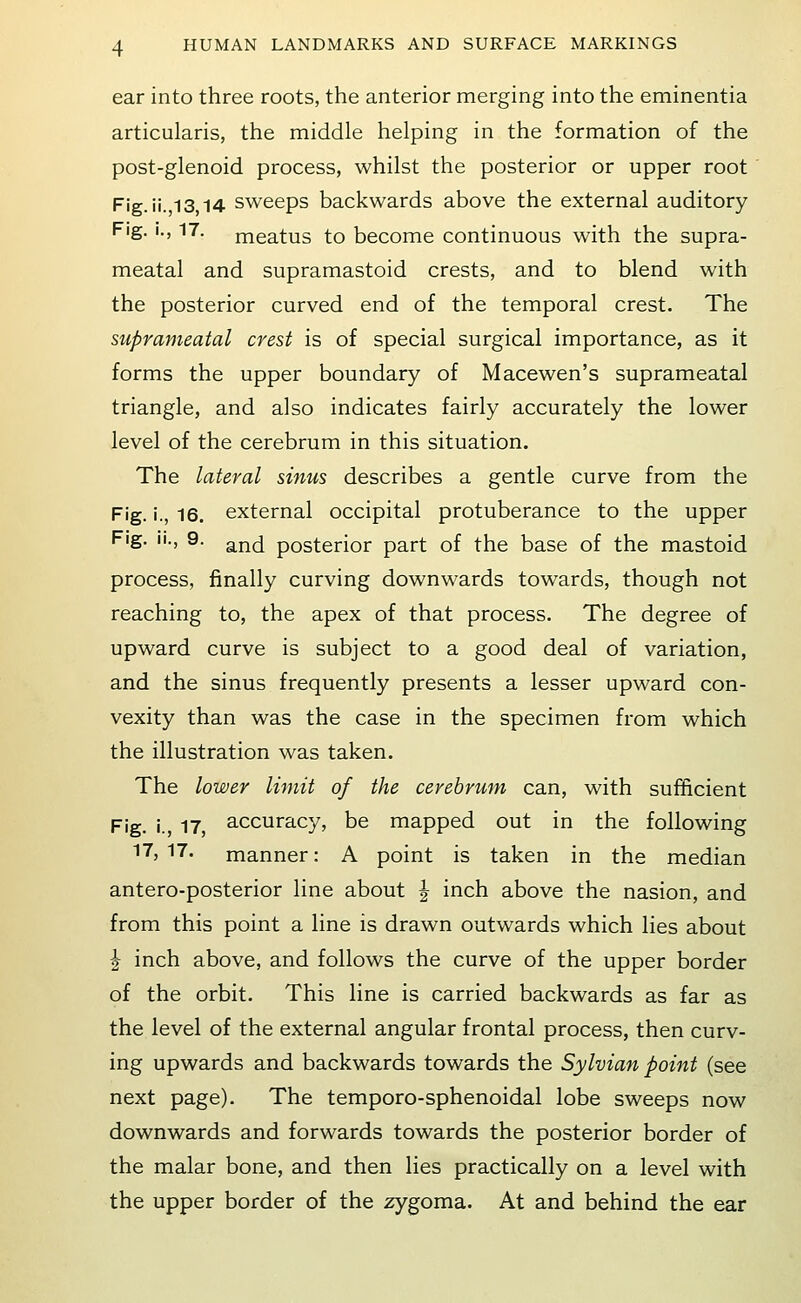 ear into three roots, the anterior merging into the eminentia articularis, the middle helping in the formation of the post-glenoid process, whilst the posterior or upper root Fig. ii.,13,14 sweeps backwards above the external auditory Fig. I., 17. meatus to become continuous with the supra- meatal and supramastoid crests, and to blend with the posterior curved end of the temporal crest. The suprameatal crest is of special surgical importance, as it forms the upper boundary of Macewen's suprameatal triangle, and also indicates fairly accurately the lower level of the cerebrum in this situation. The lateral sinus describes a gentle curve from the Fig. i., 16. external occipital protuberance to the upper Fig. ii., 9. ^^^ posterior part of the base of the mastoid process, finally curving downwards towards, though not reaching to, the apex of that process. The degree of upward curve is subject to a good deal of variation, and the sinus frequently presents a lesser upward con- vexity than was the case in the specimen from which the illustration was taken. The lower limit of the cerebrum can, with sufficient Fig. i., 17, accuracy, be mapped out in the following '•7, 17. manner: A point is taken in the median antero-posterior line about | inch above the nasion, and from this point a line is drawn outwards which lies about I inch above, and follows the curve of the upper border of the orbit. This line is carried backwards as far as the level of the external angular frontal process, then curv- ing upwards and backwards towards the Sylvian point (see next page). The temporo-sphenoidal lobe sweeps now downwards and forwards towards the posterior border of the malar bone, and then lies practically on a level with the upper border of the zygoma. At and behind the ear