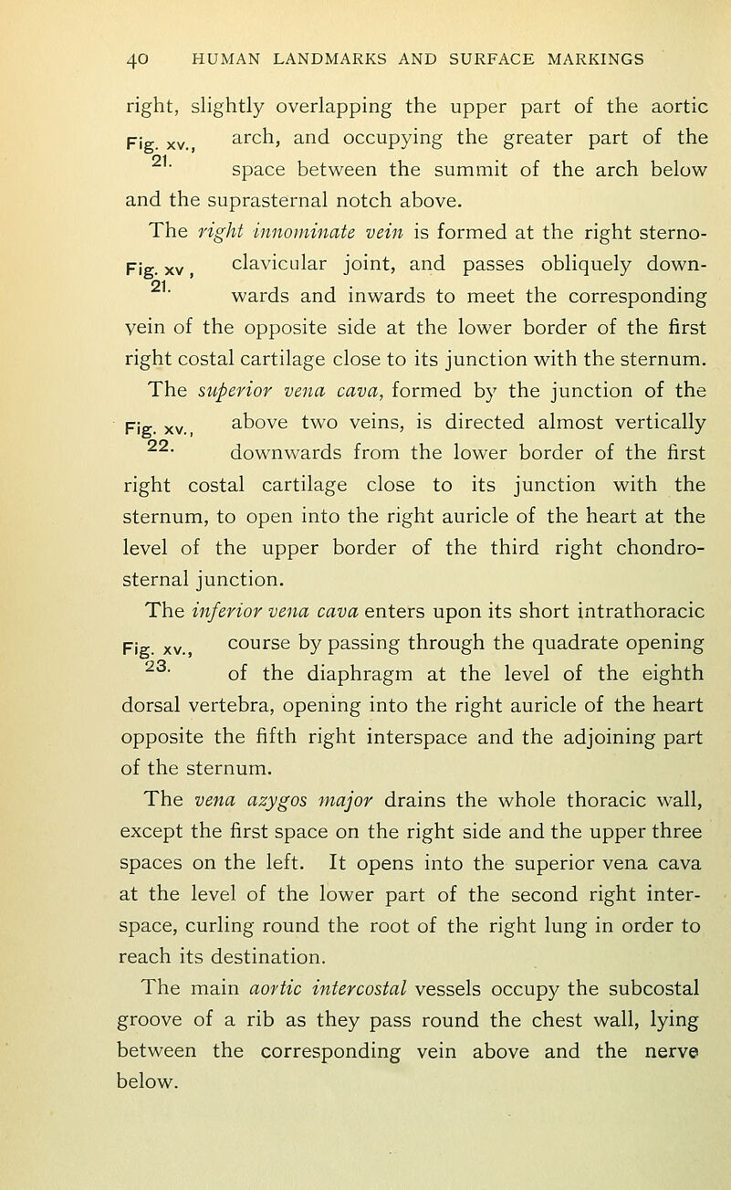 right, slightly overlapping the upper part of the aortic Fig. XV. arch, and occupying the greater part of the space between the summit of the arch below and the suprasternal notch above. The right innominate vein is formed at the right sterno- Fig. XV, clavicular joint, and passes obliquely down- 21 wards and inwards to meet the corresponding vein of the opposite side at the lower border of the first right costal cartilage close to its junction with the sternum. The superior vena cava, formed by the junction of the ' Fig. XV., above two veins, is directed almost vertically ^^' downwards from the lower border of the first right costal cartilage close to its junction with the sternum, to open into the right auricle of the heart at the level of the upper border of the third right chondro- sternal junction. The inferior vena cava enters upon its short intrathoracic Fig. XV., course by passing through the quadrate opening ^^ of the diaphragm at the level of the eighth dorsal vertebra, opening into the right auricle of the heart opposite the fifth right interspace and the adjoining part of the sternum. The vena azygos major drains the whole thoracic wall, except the first space on the right side and the upper three spaces on the left. It opens into the superior vena cava at the level of the lower part of the second right inter- space, curling round the root of the right lung in order to reach its destination. The main aortic intercostal vessels occupy the subcostal groove of a rib as they pass round the chest wall, lying between the corresponding vein above and the nerve below.
