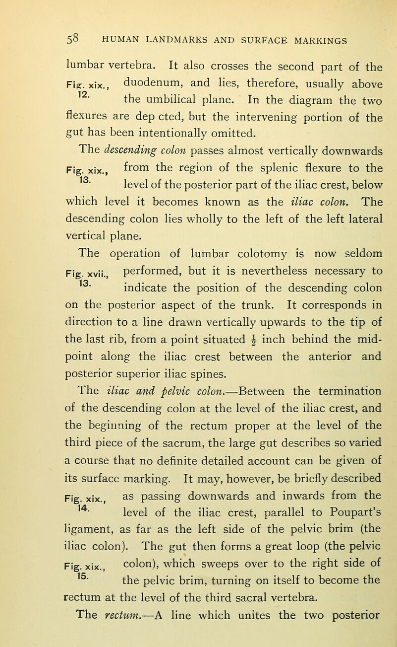 lumbar vertebra. It also crosses the second part of the Fiff. xix., duodenum, and lies, therefore, usually above the umbilical plane. In the diagram the two flexures are dep cted, but the intervening portion of the gut has been intentionally omitted. The descending colon passes almost vertically downwards Fig. xix., from the region of the splenic flexure to the level of the posterior part of the iliac crest, below which level it becomes known as the iliac colon. The descending colon lies wholly to the left of the left lateral vertical plane. The operation of lumbar colotomy is now seldom Fig. xvii., performed, but it is nevertheless necessary to indicate the position of the descending colon on the posterior aspect of the trunk. It corresponds in direction to a line drawn vertically upwards to the tip of the last rib, from a point situated J inch behind the mid- point along the iliac crest between the anterior and posterior superior iliac spines. The iliac and pelvic colon.—Between the termination of the descending colon at the level of the iliac crest, and the beginning of the rectum proper at the level of the third piece of the sacrum, the large gut describes so varied a course that no definite detailed account can be given of its surface marking. It may, however, be briefly described Fig. xix., 3-S passing downwards and inwards from the ^'*' level of the iliac crest, parallel to Poupart's ligament, as far as the left side of the pelvic brim (the iliac colon). The gut then forms a great loop (the pelvic Fig. xix., colon), which sweeps over to the right side of the pelvic brim, turning on itself to become the rectum at the level of the third sacral vertebra. The rectum.—A line which unites the two posterior