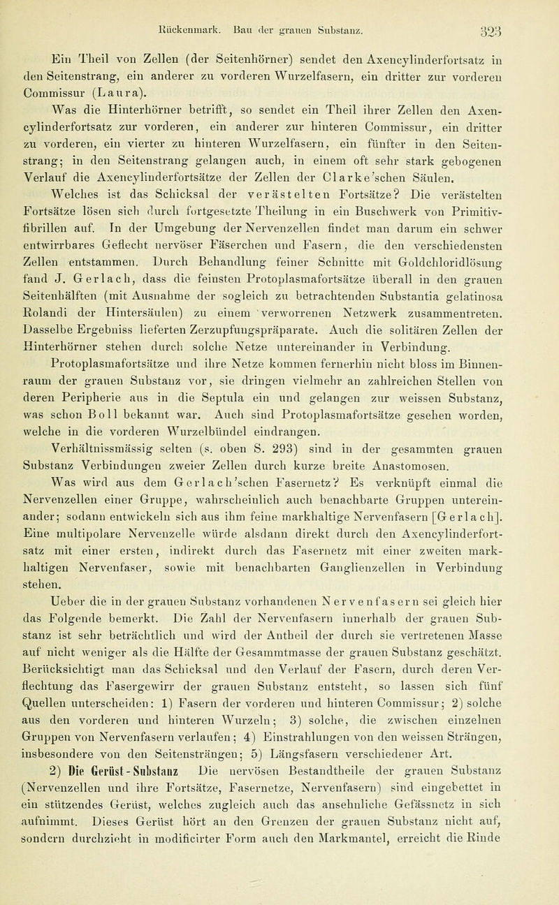 Ein Theil von Zellen (der Seitenhörner) sendet den Axencylinderfortsatz in den Seitenstrang, ein anderer zu vorderen Wurzelfasern, ein dritter zur vorderen Commissur (Laura). Was die Hinterhörner betrifft, so sendet ein Theil ihrer Zellen den Axen- cylinderfortsatz zur vorderen, ein anderer zur hinteren Commissur, ein dritter zu vorderen, ein vierter zu hinteren Wurzelfasern, ein fünfter in den Seiten- strang; in den Seitenstrang gelangen auch, in einem oft sehr stark gebogenen Verlauf die Axencylinderfortsätze der Zellen der Clarke'sehen Säulen. Welches ist das Schicksal der verästelten Fortsätze? Die verästelten Fortsätze lösen sicli durch fortgesetzte Theilung in ein Buschwerk von Primitiv- fibrillen auf. In der Umgebung der Nervenzellen findet man darum ein schwer entwirrbares Geflecht nervöser Fäserchen und Fasern, die. den verschiedensten Zellen entstammen. Durch Behandlung feiner Schnitte mit Goldchloridlösung fand J. Gerlach, dass die feinsten Protoplasmafortsätze überall in den grauen Seitenhälften (mit Ausnahme der sogleich zu betrachtenden Substantia gelatinosa Eolandi der Hintersäulen) zu einem ' verworrenen Netzwerk zusammentreten. Dasselbe Ergebniss lieferten Zerzupfuugspräparate. Auch die solitären Zellen der Hinterhörner stehen durch solche Netze untereinander in Verbindung. Protoplasmafortsätze und ihre Netze kommen fernerhin nicht bloss im Binnen- raum der grauen Substanz vor, sie dringen vielmehr an zahlreichen Stellen von deren Peripherie aus in die Septula ein und gelangen zur weissen Substanz, was schon Bo 11 bekannt war. Auch sind Protoplasmafortsätze gesehen worden, welche in die vorderen Wurzelbündel eindrangen. Verhältnissmässig selten (s. oben S. 293) sind in der gesammten grauen Substanz Verbindungen zweier Zellen durch kurze breite Anastomosen. Was wird aus dem Gerl ach'schen Fasernetz V Es verknüpft einmal die Nervenzellen einer Gruppe, wahrscheinlich auch benachbarte Gruppen unterein- ander; sodann entwickeln sich aus ihm feine markhaltige Nervenfasern [Gerlach]. Eine multipolare Nervenzelle würde alsdann direkt durch den Axencylinderfort- satz mit einer ersten, indirekt durch das Fasernetz mit einer zweiten mark- haltigen Nervenfaser, sowie mit benachbarten Ganglienzellen in Verbindung stehen. Ueber die in der grauen Substanz vorhandenen Nervenfasern sei gleich hier das Folgende bemerkt. Die Zahl der Nervenfasern innerhalb der grauen Sub- stanz ist sehr beträchtlich und wird der Antheil der durch sie vertretenen Masse auf nicht weniger als die Hälfte der Gesammtmasse der grauen Substanz geschätzt. Berücksichtigt man das Schicksal und den Verlauf der Fasern, durch deren Ver- flechtung das Fasergewirr der grauen Substanz entsteht, so lassen sich fünf Quellen unterscheiden: 1) Fasern der vorderen und hinteren Commissur; 2) solche aus den vorderen und hinteren Wurzeln; 3) solche, die zwischen einzelnen Gruppen von Nervenfasern verlaufen; 4) Einstrahlungen von den weissen Strängen, insbesondere von den Seitensträngen; 5) Längsfasern verschiedener Art. 2) Die Gerüst - Substanz Die nervösen Bestandteile der grauen Substanz (Nervenzellen und ihre Fortsätze, Fasernetze, Nervenfasern) sind eingebettet in ein stützendes Gerüst, welches zugleich auch das ansehnliche Gefässnetz in sich aufnimmt. Dieses Gerüst hört an den Grenzen der grauen Substanz nicht auf, sondern durchzieht in modificirter Form auch den Markmantel, erreicht die Rinde