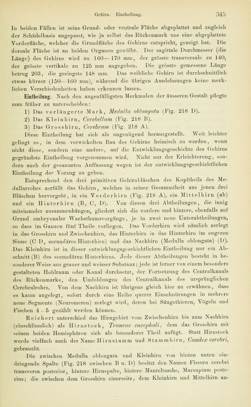 In beiden Fällen ist seine Grund- oder ventrale Fläche abgeplattet und zugleich der Schädelbasis angepasst, wie ja selbst das Rückenmark uns eine abgeplattete Vorderfläche, welcher die Grundfläche des Gehirns entspricht, gezeigt hat. Die dorsale Fläche ist an beiden Organen gewölbt. Der sagittale Durchmesser (die Länge) des Gehirns wird zu 160—170 mm, der grösste transversale zu 140, der grösste vertikale zu 125 mm angegeben. Die grösste gemessene Länge betrug 203, die geringste 148 mm. Das weibliche Gehirn ist durchschnittlich etwas kürzer (150—160 mm), während die übrigen Ausdehnungen keine merk- lichen Verschiedenheiten haben erkennen lassen. Eintheilung. Nach den augenfälligsten Merkmalen der äusseren Gestalt pflegte man früher zu unterscheiden: 1) Das verlängerte Mark, Medulla oblongata (Fig. 218 D). 2) Das Kleinhirn, Cerebellum (Fig. 218 B). 3) Das Grosshirn, Gerebrum (Fig. 218 A). Diese Eintheilung hat sich als ungenügend herausgestellt. Weit leichter gelingt es, in dem verwickelten Bau des Gehirns heimisch zu werden, wenn nicht diese, sondern eine andere, auf die Entwicklungsgeschichte des Gehirns gegründete Eintheilung vorgenommen wird. Nicht nur der Erleichterung, son- dern auch der gesammten Auffassung wegen ist der entwicklungsgeschichtlichen Eintheilung de'- Vorzug zu geben. Entsprechend den drei primitiven Gehirnbläschen des Kopftheils des Me- dullarrohrs zerfällt das Gehirn, welches in seiner Gesammtheit aus jenen drei Bläschen hervorgeht, in ein Vorderhirn (Fig. 218 A), ein Mittelhirn (ab) und ein Hinterhirn (B, C, D). Von diesen drei Abtheilungen, die innig miteinander zusammenhängen, gliedert sich die vordere und hintere, ebenfalls auf Grund embryonaler Wachsthumsvorgänge, je in zwei neue Unterabtheilungen, so dass im Ganzen fünf Theile vorliegen. Das Vorderhirn wird nämlich zerlegt in das Grosshirn und Zwischenhirn, das Hinterhirn in das Hinterhirn im engeren Sinne (C D, seeundäres Hinterhirn) und das Nachhirn (Medulla oblongata) (D). Das Kleinhirn ist in dieser entwicklungsgeschichtlicheu Eintheilung nur ein Ab- schnitt (B) des seeundären Hinterhirns. Jede dieser Abtheilungen besteht in be- sonderer Weise aus grauer und weisser Substanz ; jede ist ferner von einem besonders gestalteten Hohlraum oder Kanal durchsetzt, der Fortsetzung des Centralkanals des Rückenmarks, den Umbildungen des Centralkanals des ursprünglichen Cerebralrohrs. Von dem Nachhirn ist übrigens gleich hier zu erwähnen, dass es kaum angelegt, sofort durch eine Reihe querer Einschnürungen in mehrere neue Segmente (Neuromeren) zerlegt wird, deren bei Säugethieren, Vögeln und Fischen 4-5 gezählt werden können. Reichert unterschied das Hirngebiet vom Zwischenhirn bis zum Nachhirn (einschliesslich) als Hirnstock, Truncus encephali, dem das Grosshirn mit seinen beiden Hemisphären sich als besonderer Theil anfügt. Statt Hirnstock wurde vielfach auch der Name H im stamm und Stamm hirn, Caudex cerebri, gebraucht. Die zwischen Medulla oblongata und Kleinhirn von hinten unten ein- dringende Spalte (Fig. 218 zwischen B u. D) besitzt den Namen Fissura cerebri transversa posterior, hintere Hirnspalte, hintere Manteltasche, Marsupium poste- rius; die zwischen dem Grosshirn einerseits, dem Kleinhirn und Mittelhirn an-